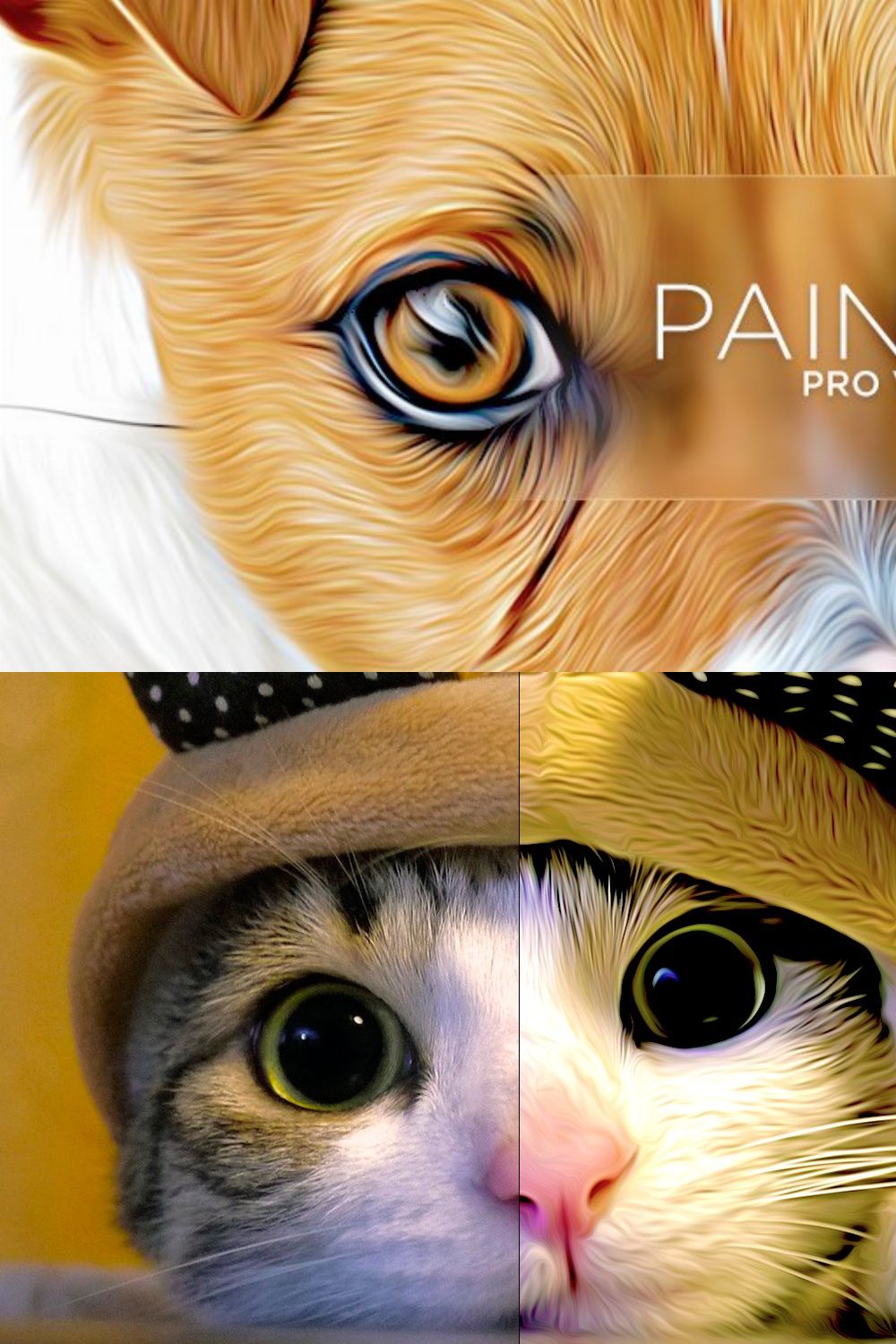 Paint Pro pinterest preview image.