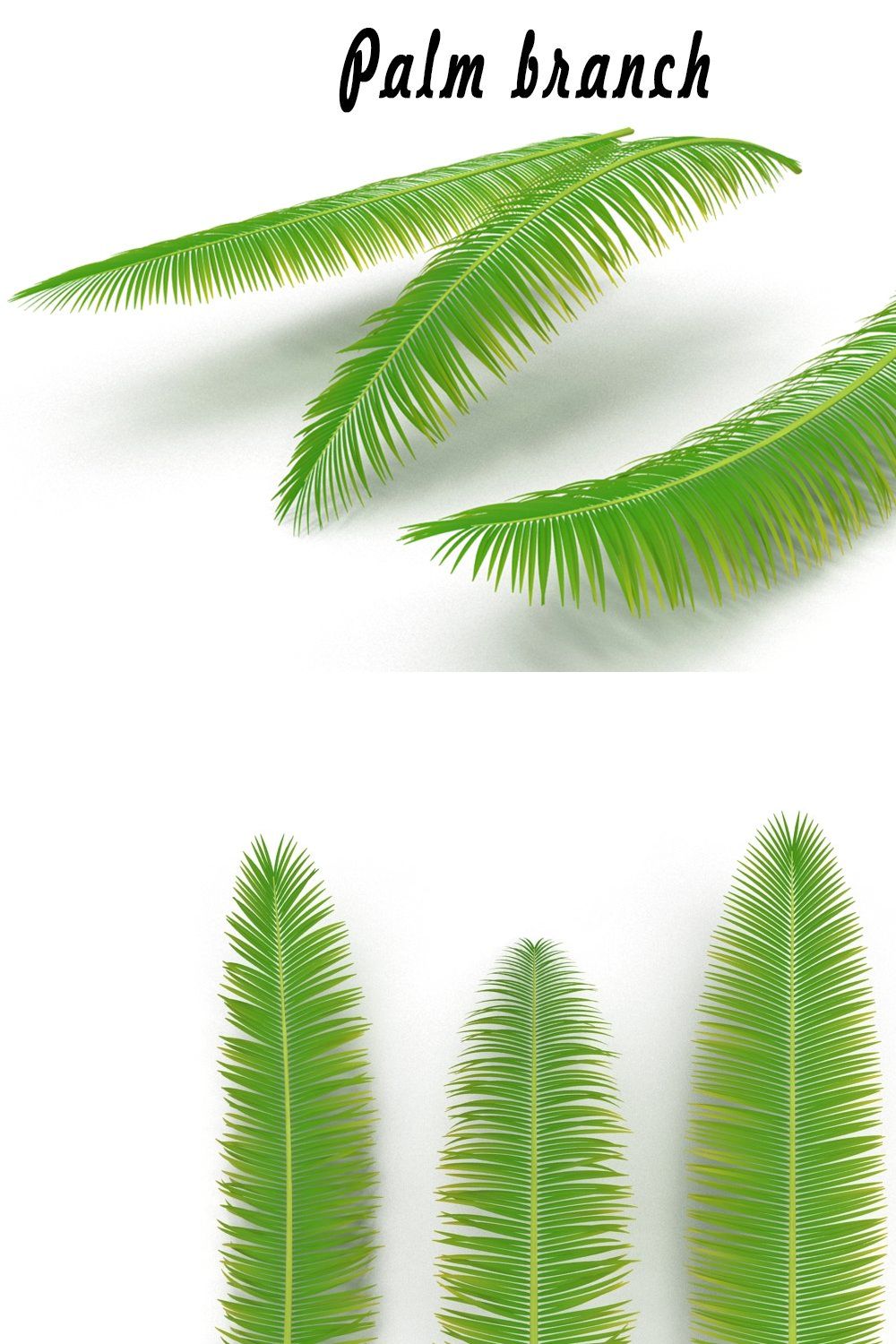 Palm branch pinterest preview image.