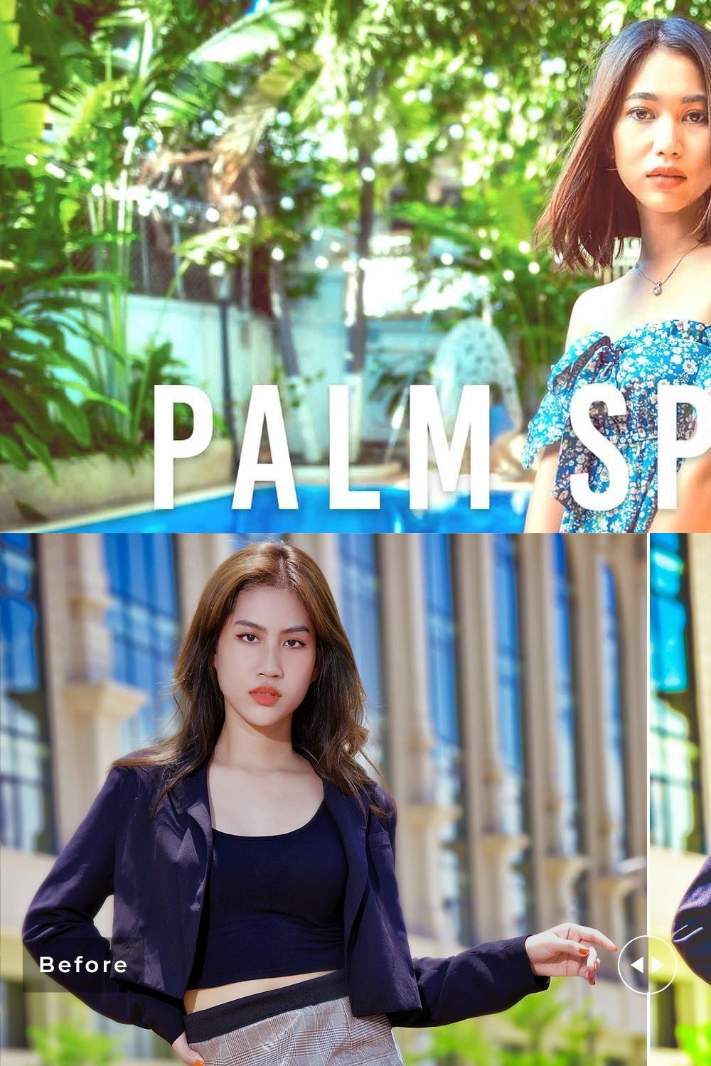 Palm Springs Pro Lightroom Presets pinterest preview image.