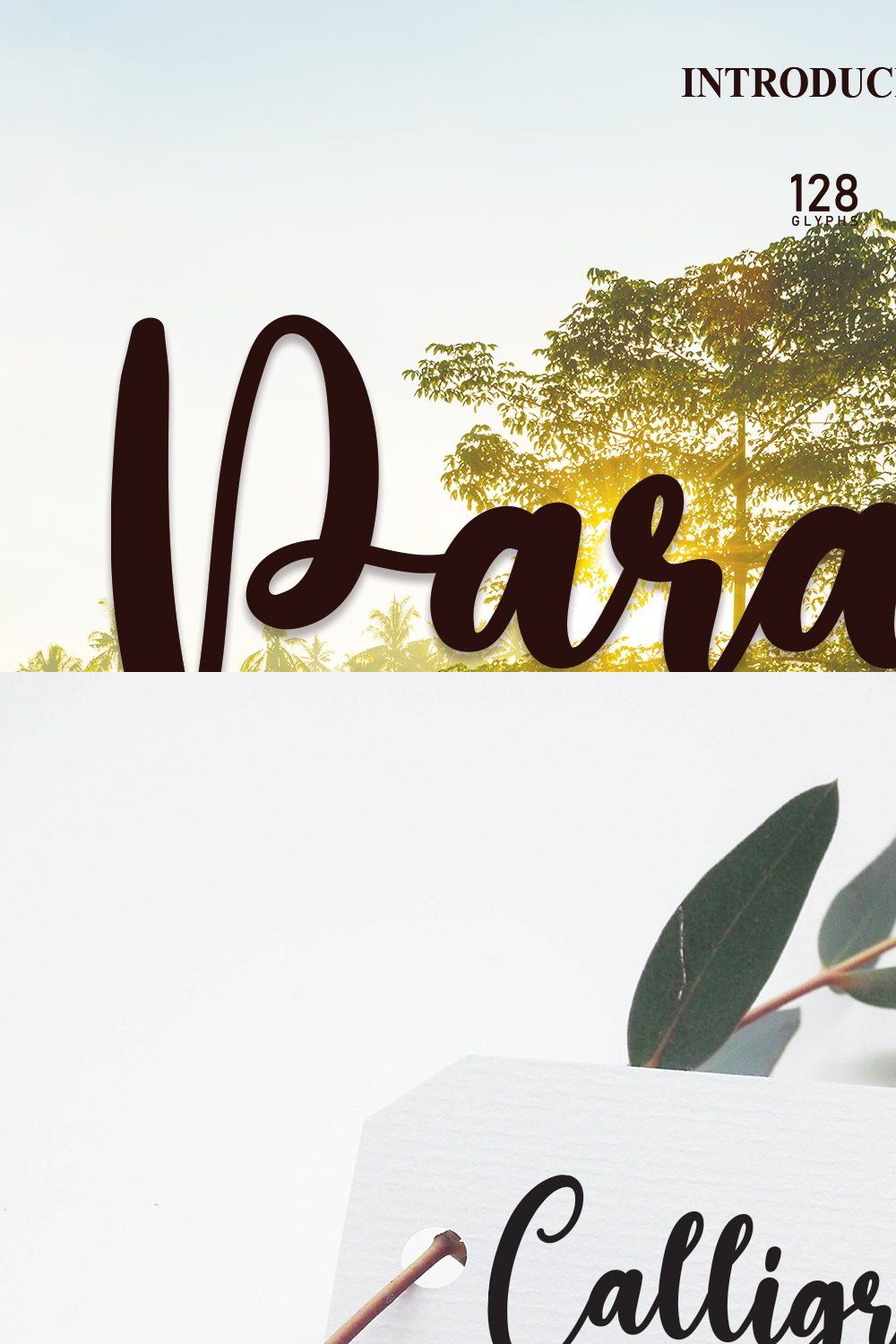 Paradise | Script Font pinterest preview image.