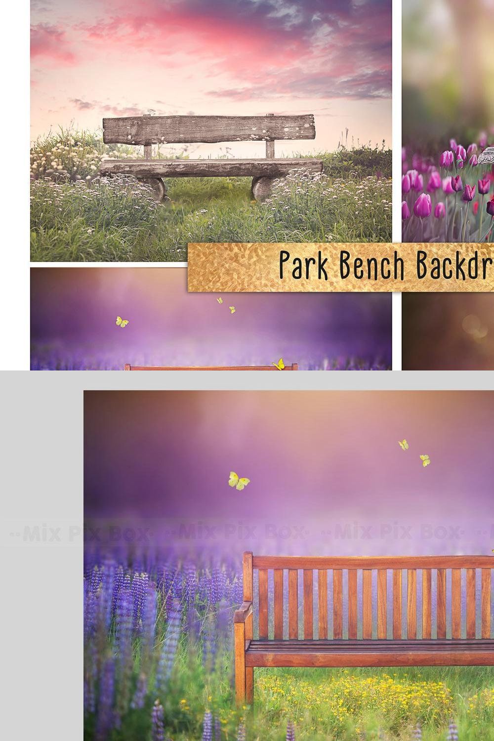 Park Bench Backdrops pinterest preview image.