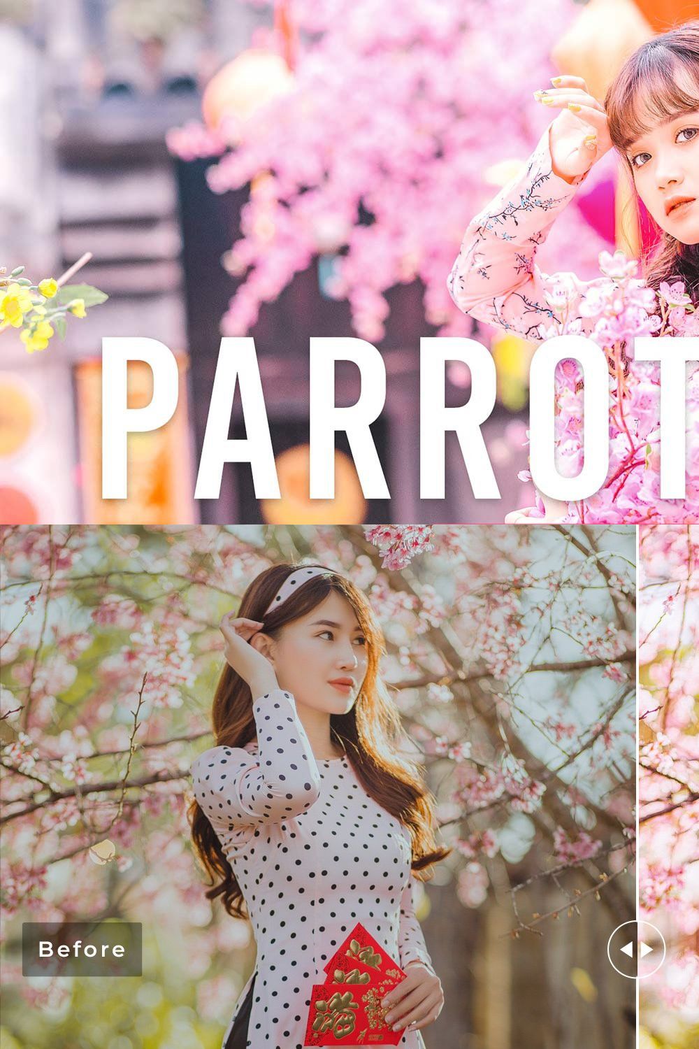 Parrot Pink Pro Lightroom Presets pinterest preview image.