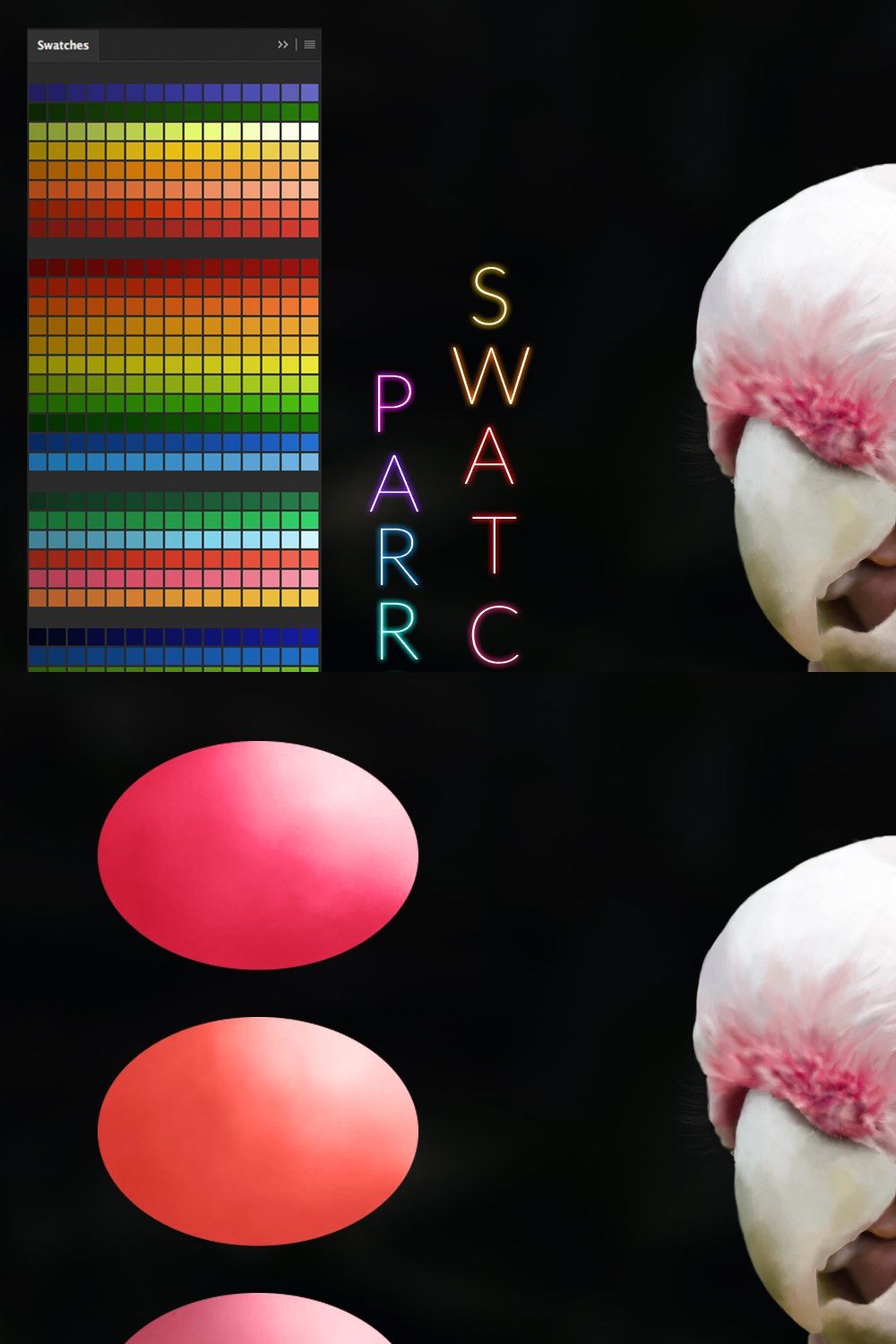 Parrot Swatches pinterest preview image.