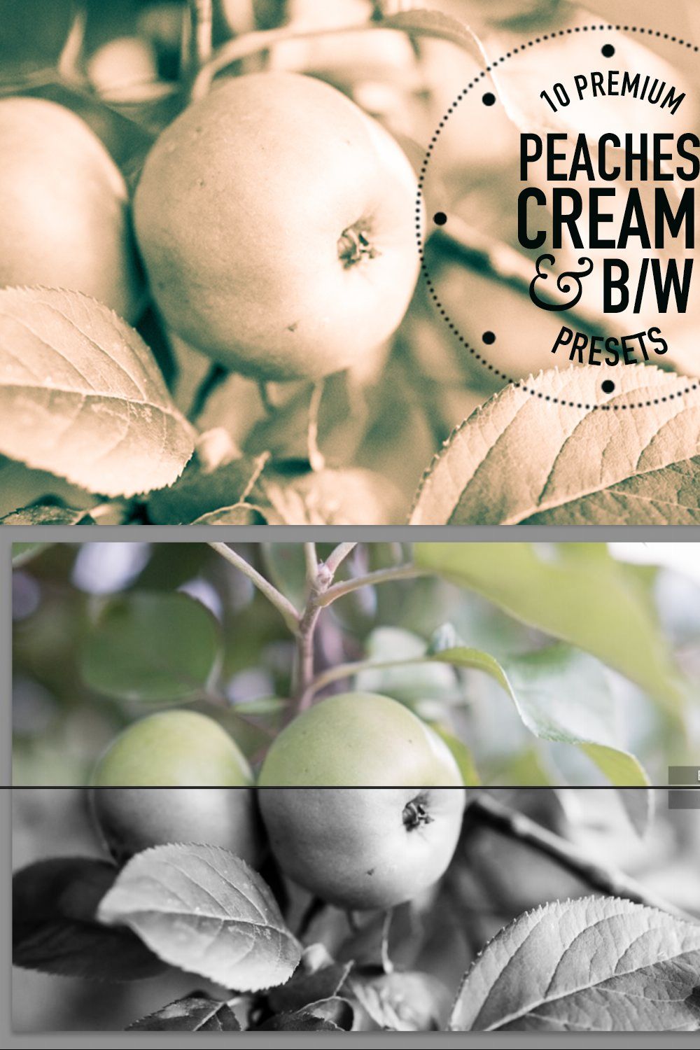 Peaches, Cream, BW Lightroom Presets pinterest preview image.
