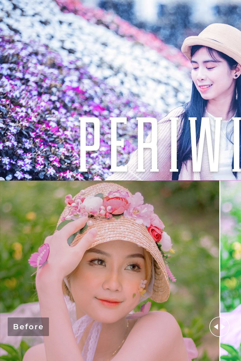 Periwinkle Pro Lightroom Presets V2 pinterest preview image.