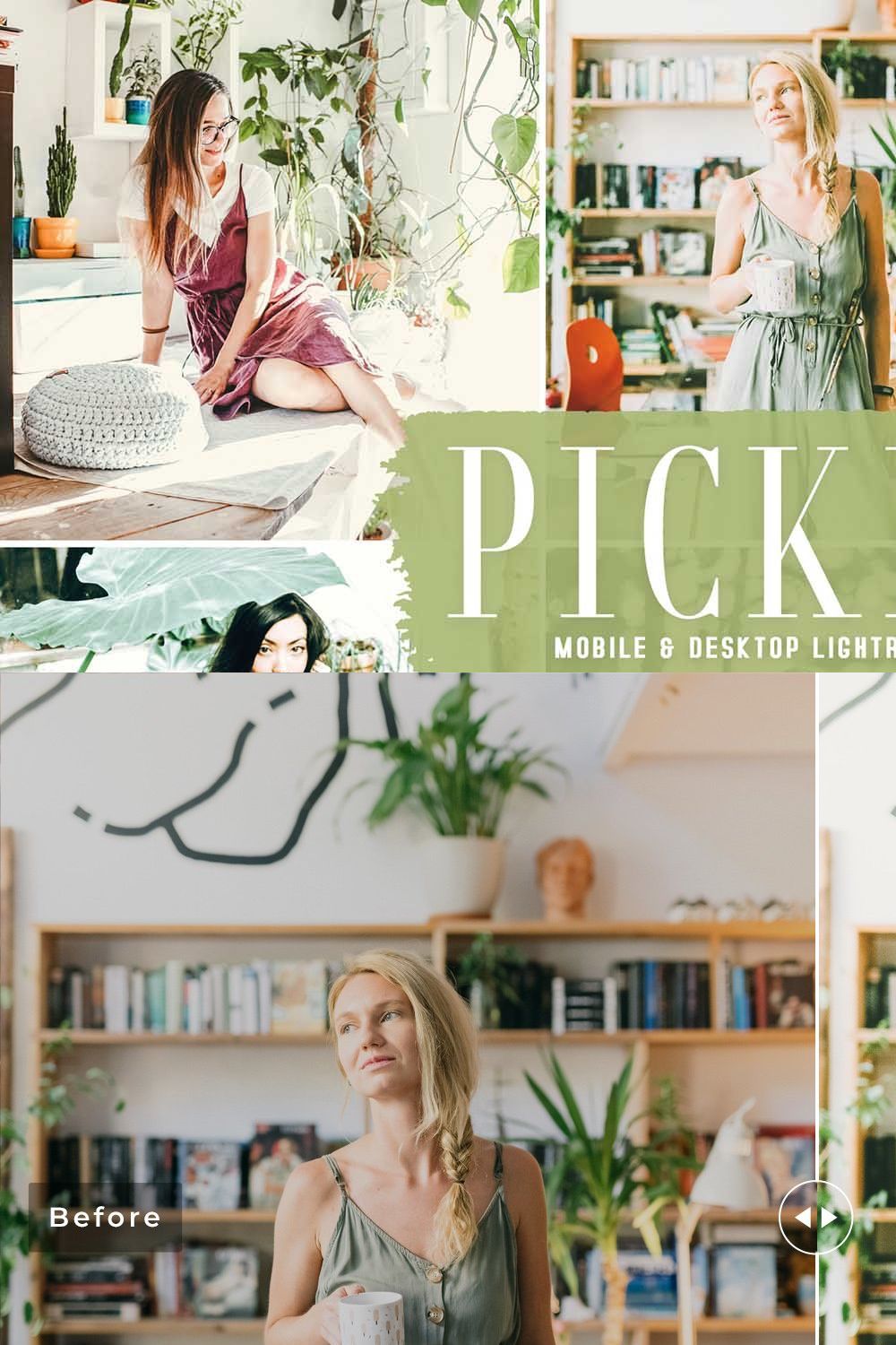 Pickles Pro Lightroom Presets pinterest preview image.