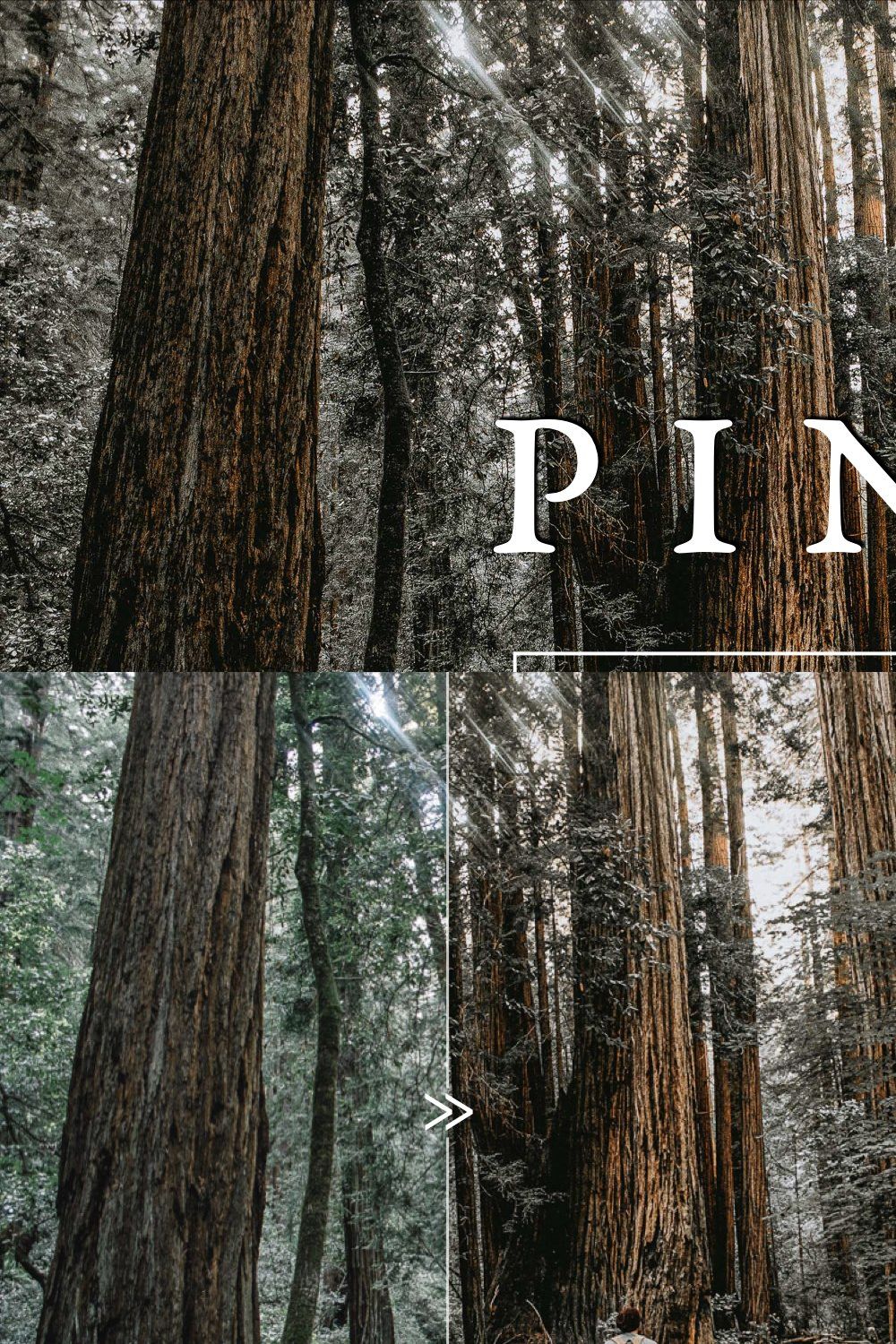 PINE Warm Moody Lightroom Presets pinterest preview image.