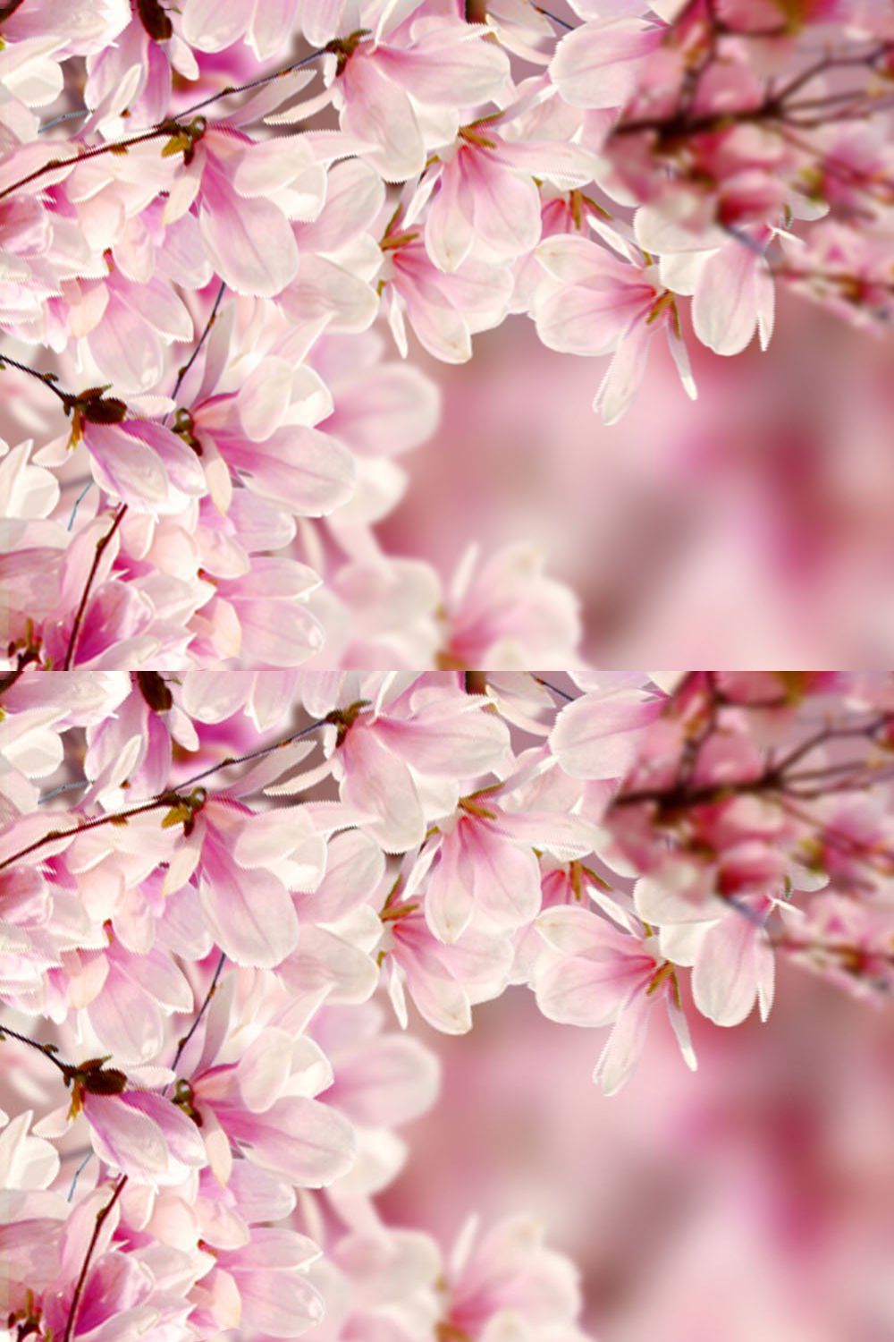 Pink Blossom Digital Backdrop pinterest preview image.