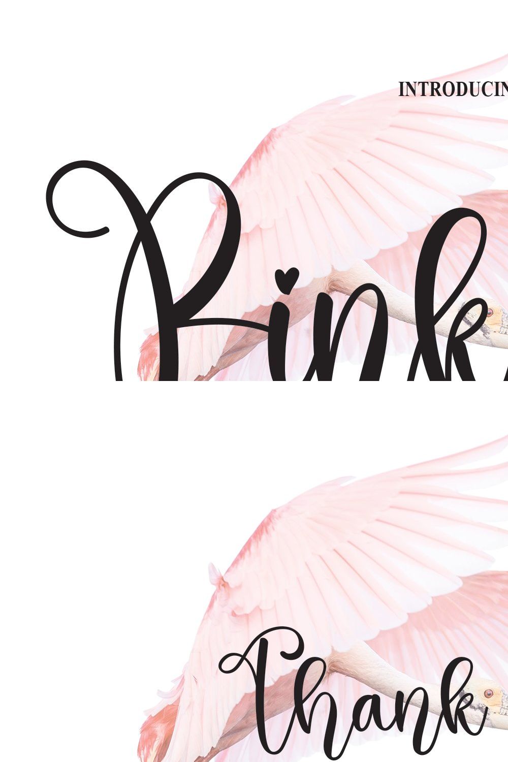 Pinkbird | Script Font pinterest preview image.