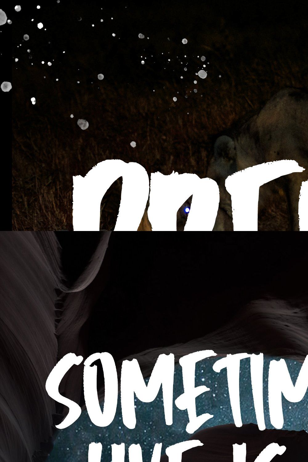 Predator - Brush Font pinterest preview image.