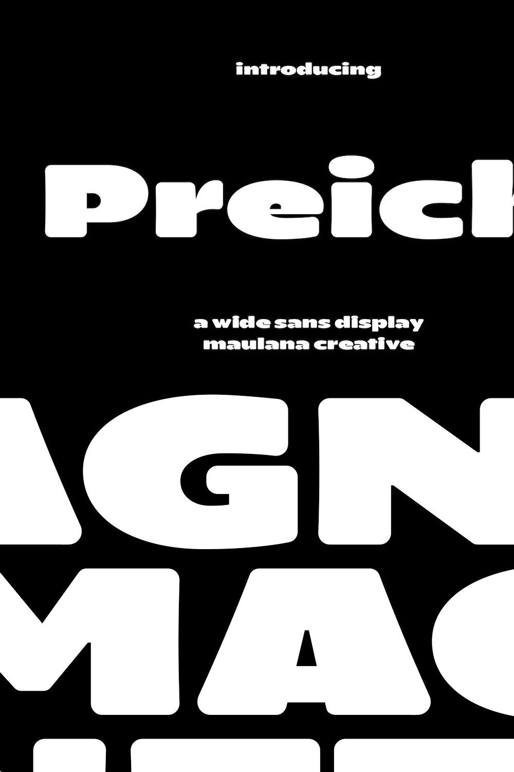 Preich Wide Sans Font pinterest preview image.