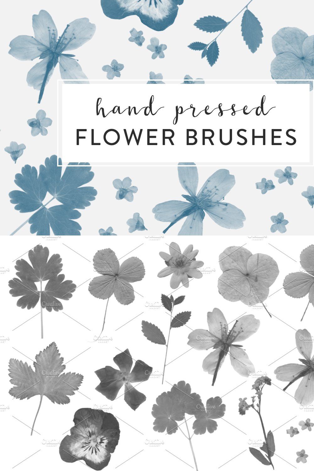 Pressed Flowers Photoshop Brushes pinterest preview image.