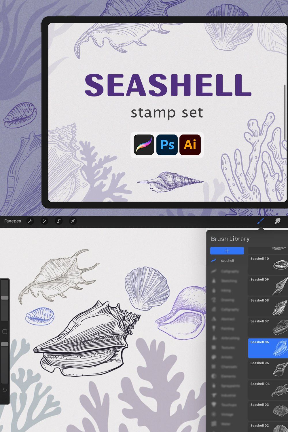 Procreate - Seashell Stamps pinterest preview image.
