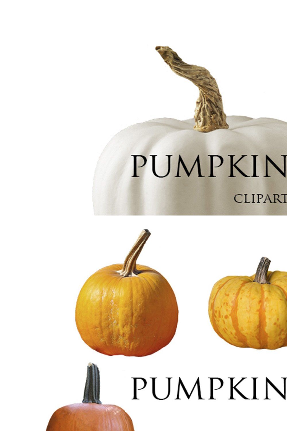 Pumpkin PNGs Clip Art pinterest preview image.