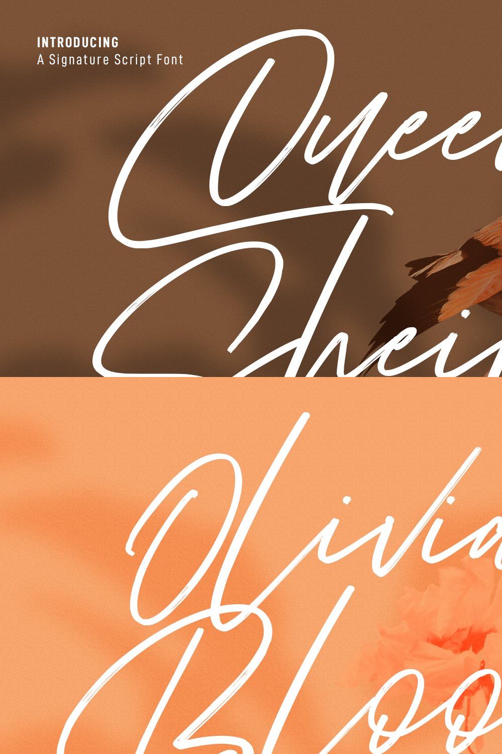 Queen Sheila Signature Script Font pinterest preview image.