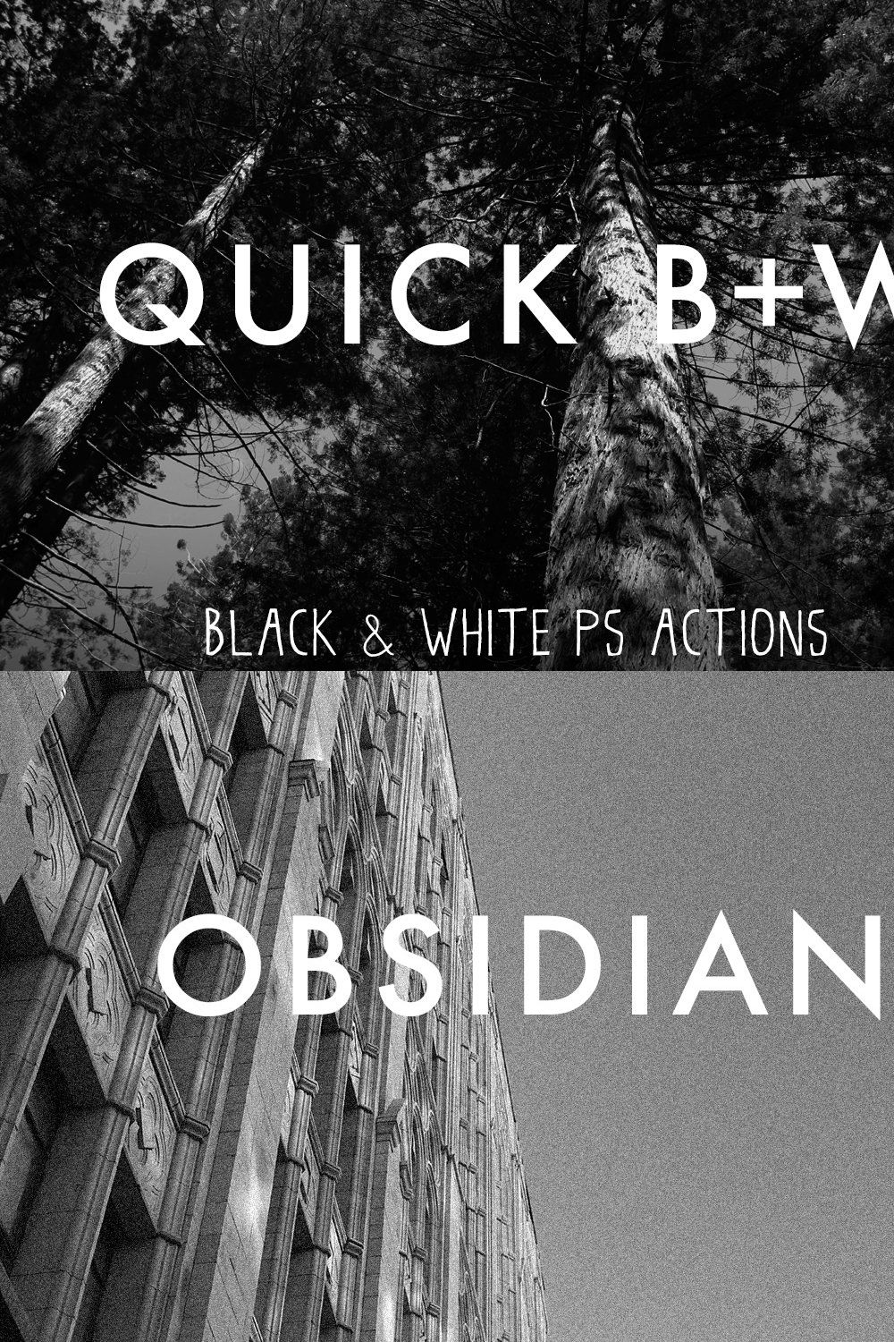 Quick B+W pinterest preview image.