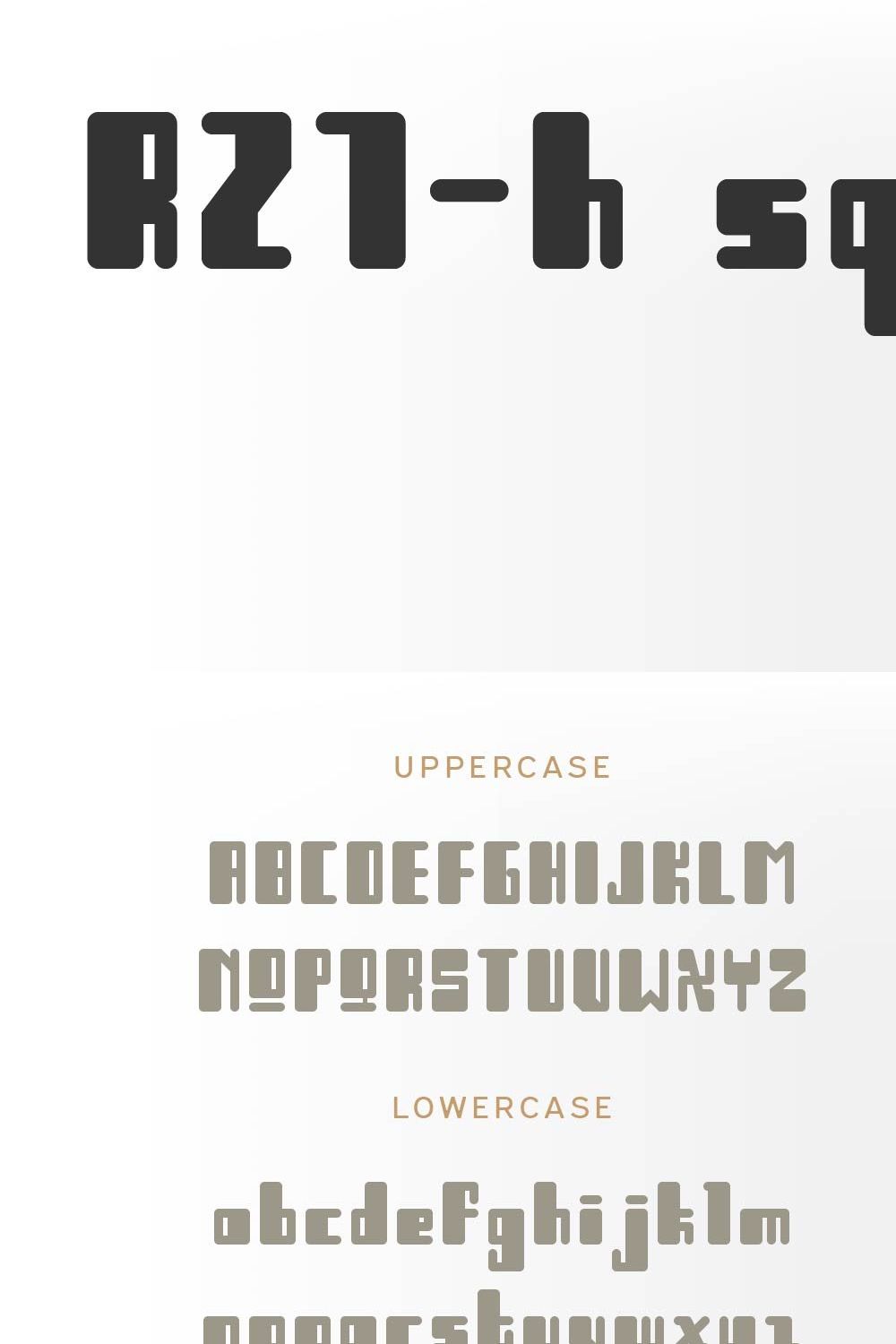 R21-h sq [Display Font] pinterest preview image.