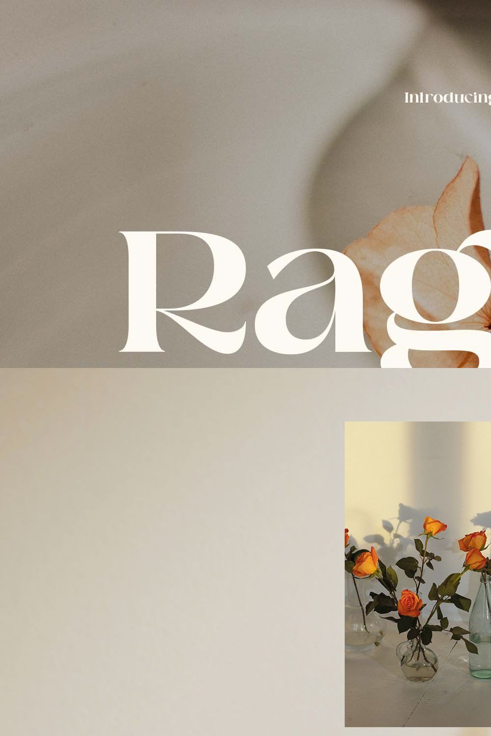 Raginy - Stylish Modern Serif pinterest preview image.