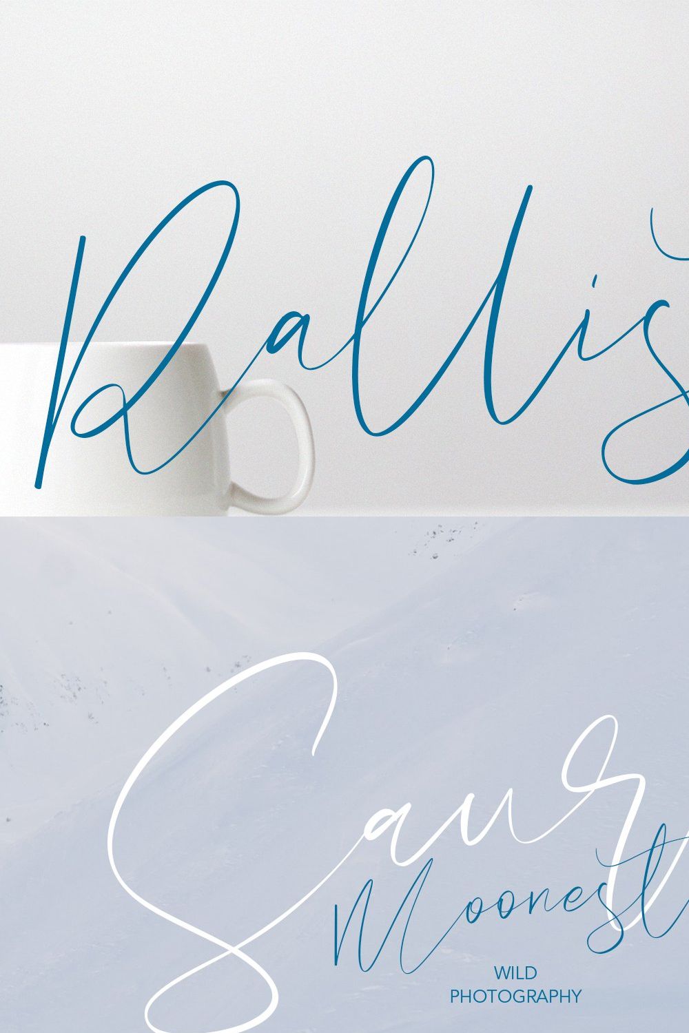 Rallista Chic Signature Font pinterest preview image.