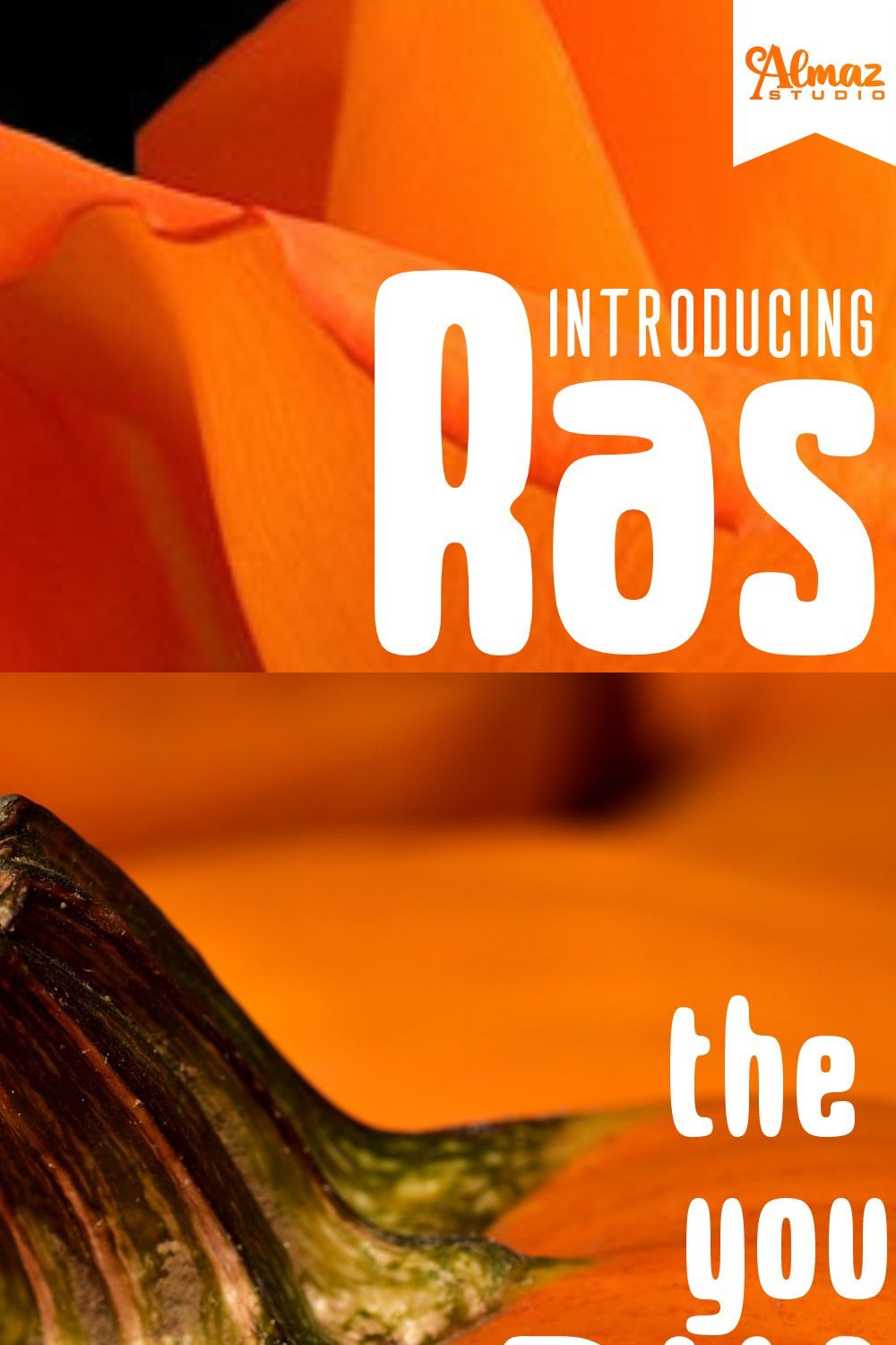 Rasha pinterest preview image.