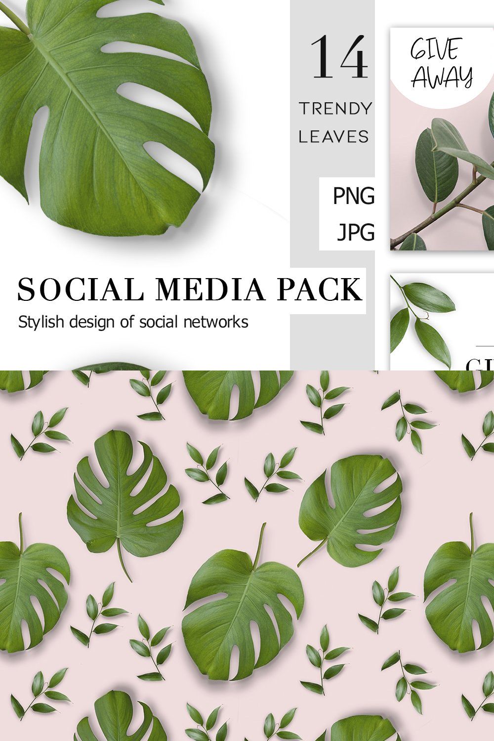 Real tropical leaves pinterest preview image.
