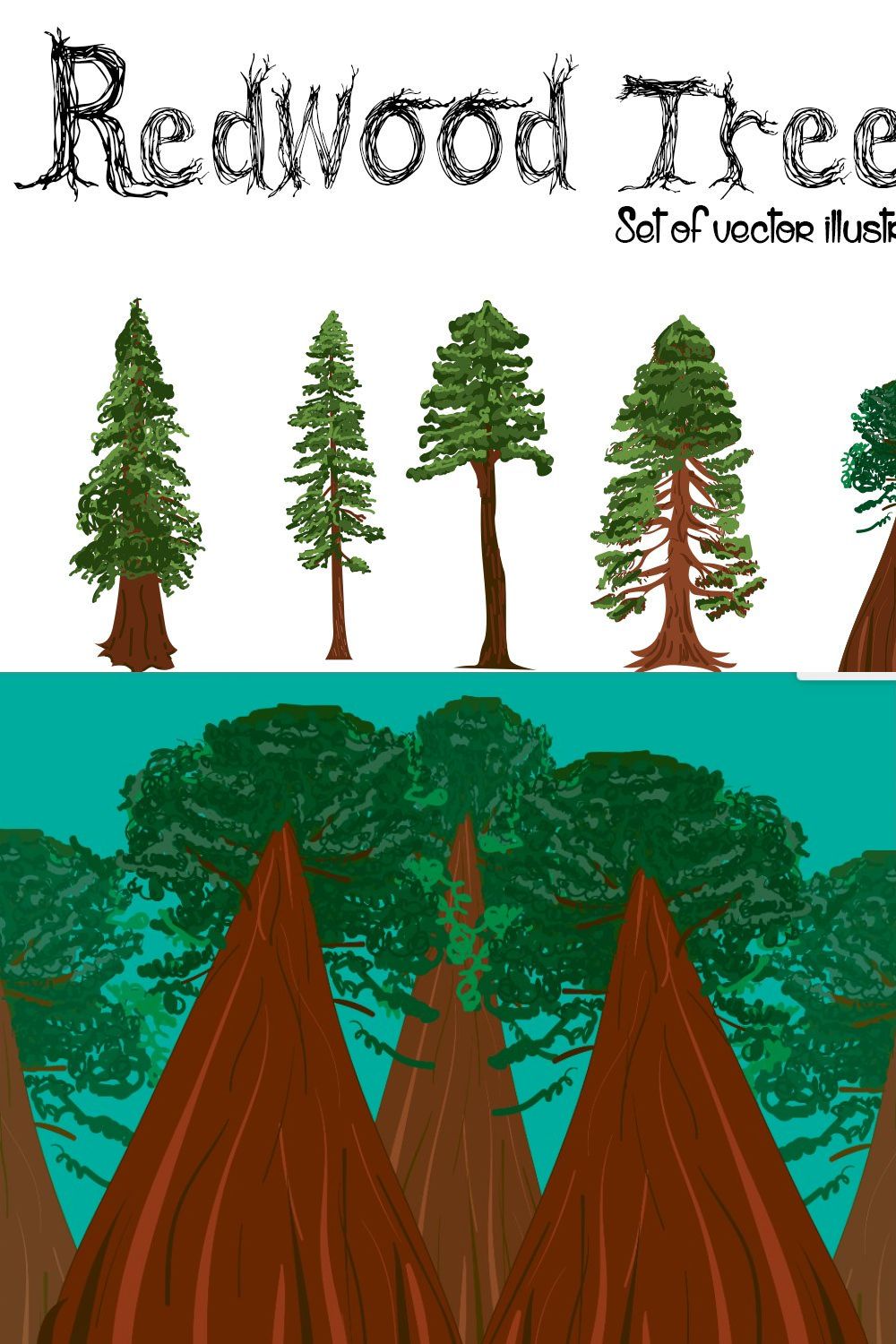 Redwood Trees pinterest preview image.