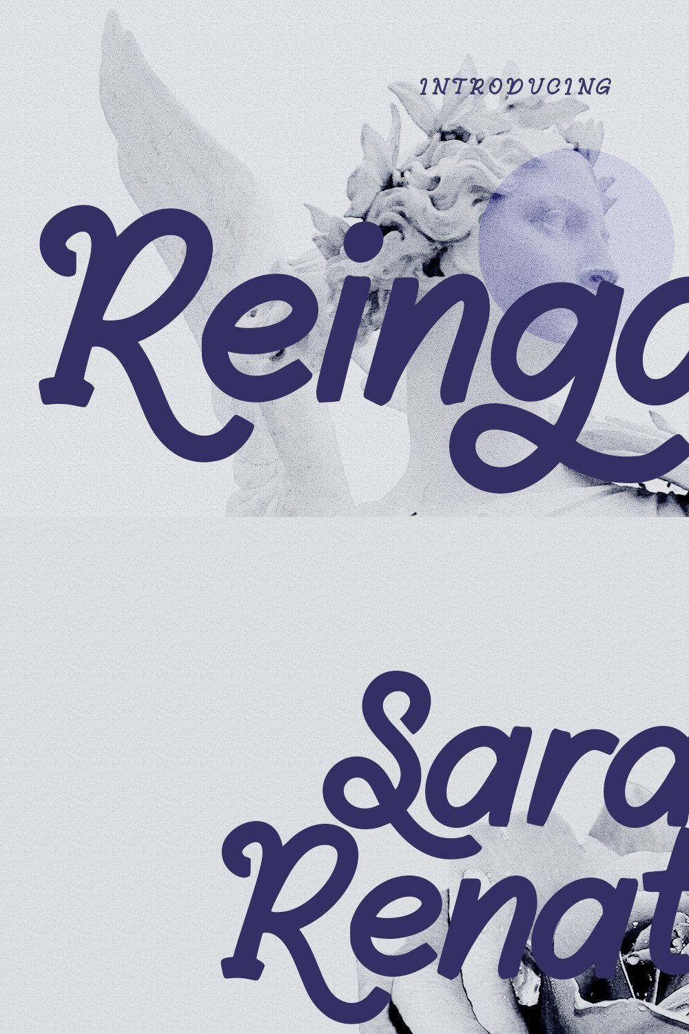 Reingard Display Font pinterest preview image.