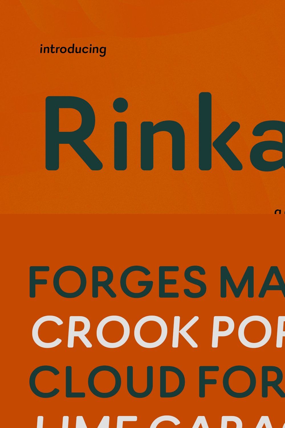 Rinkart Sans Display Font pinterest preview image.