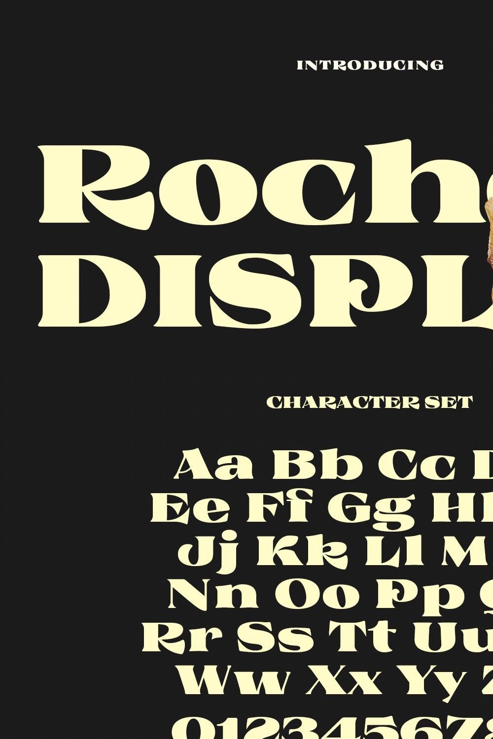 Rochek Vintage Serif Display Font pinterest preview image.