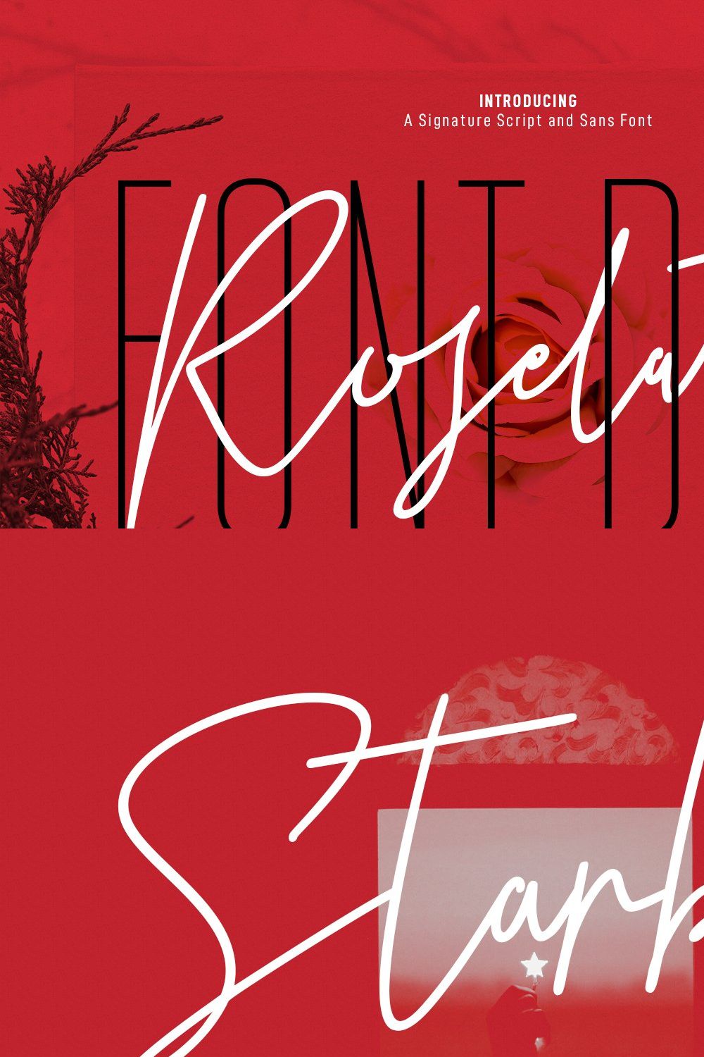 Roselates Script Sans Font Duo pinterest preview image.