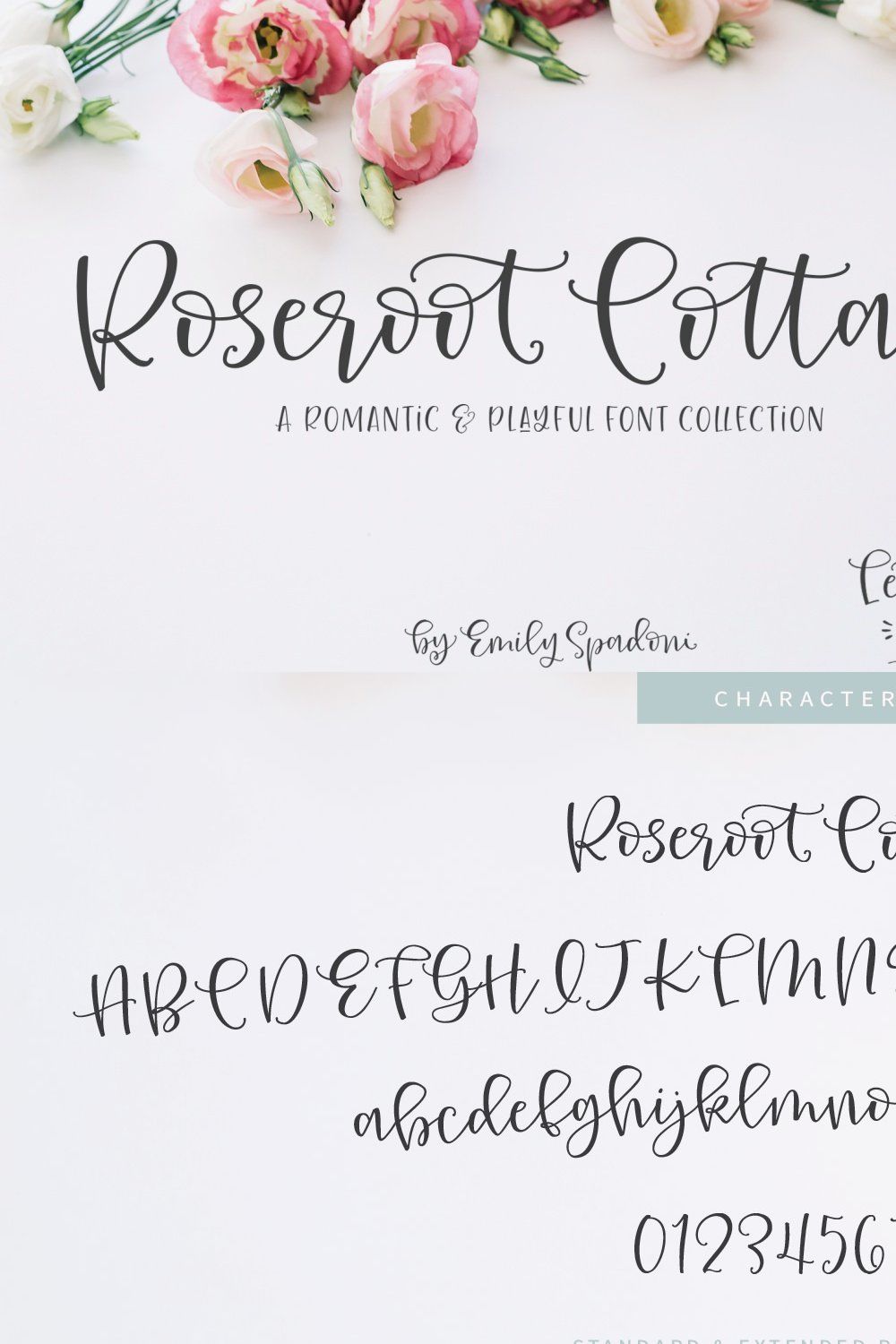 Roseroot Cottage Font Collection pinterest preview image.