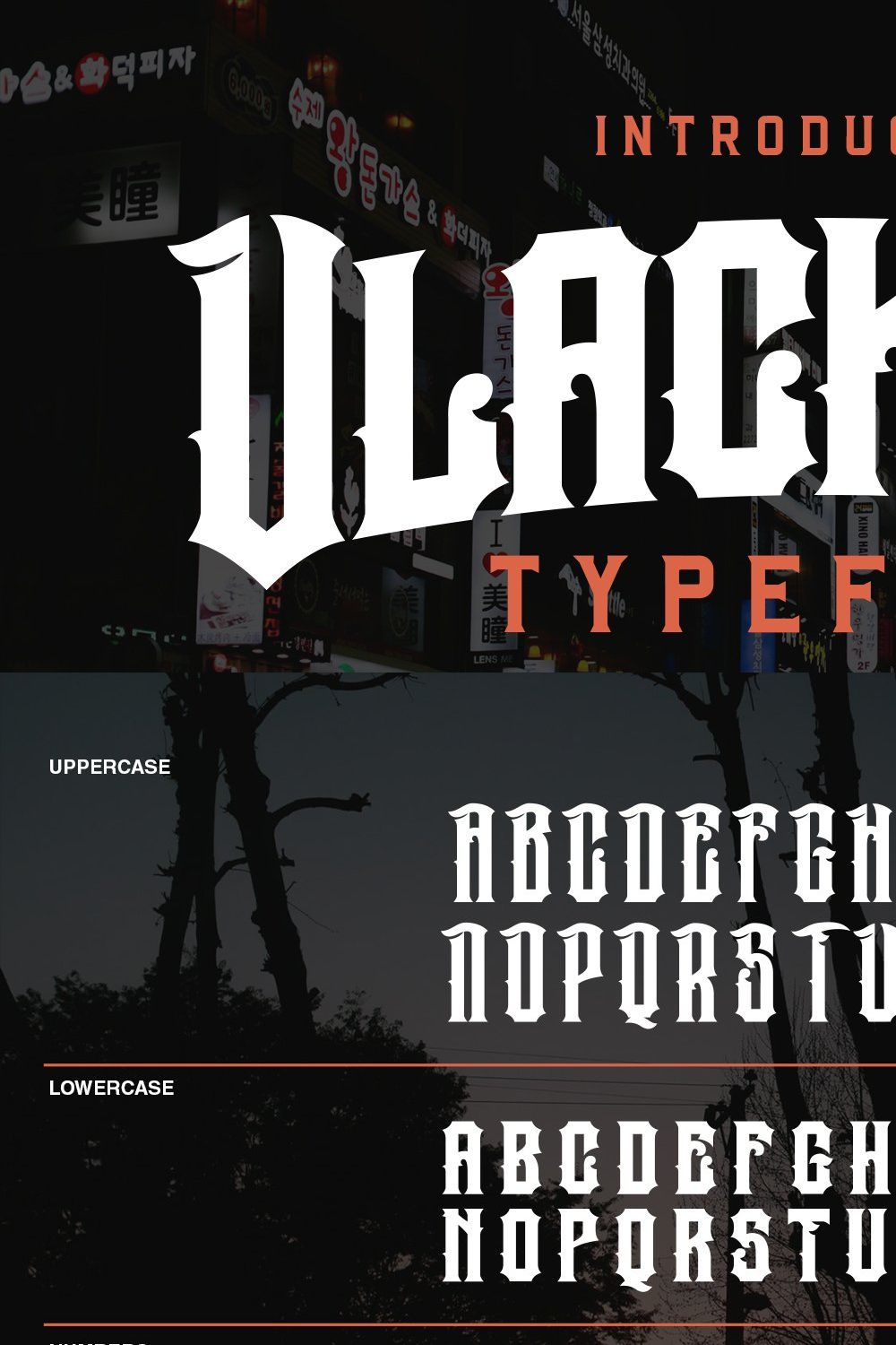 RSB VlackFink Typeface pinterest preview image.