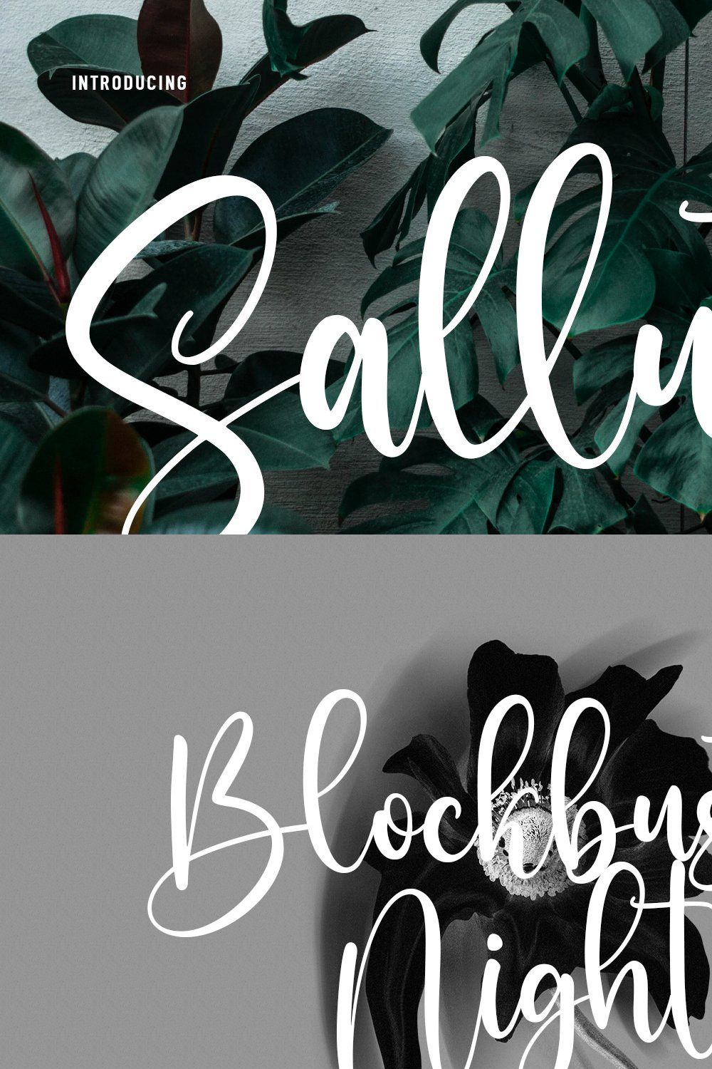 Sallutos Signature Script Font pinterest preview image.