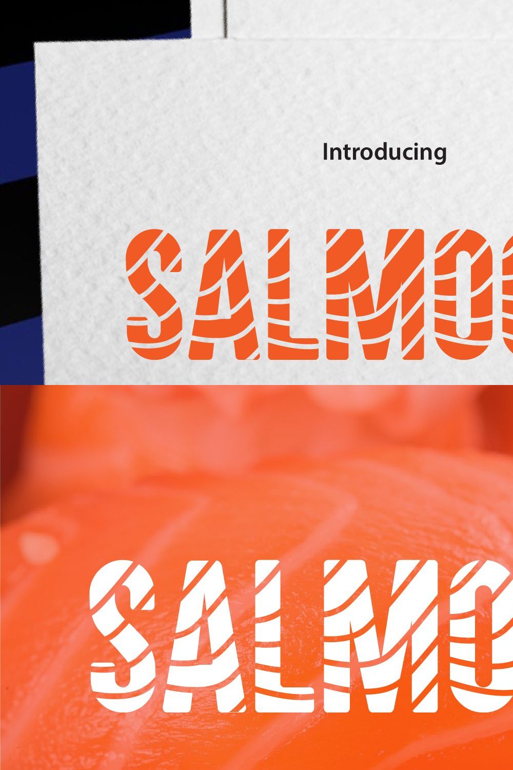 SALMOON pinterest preview image.