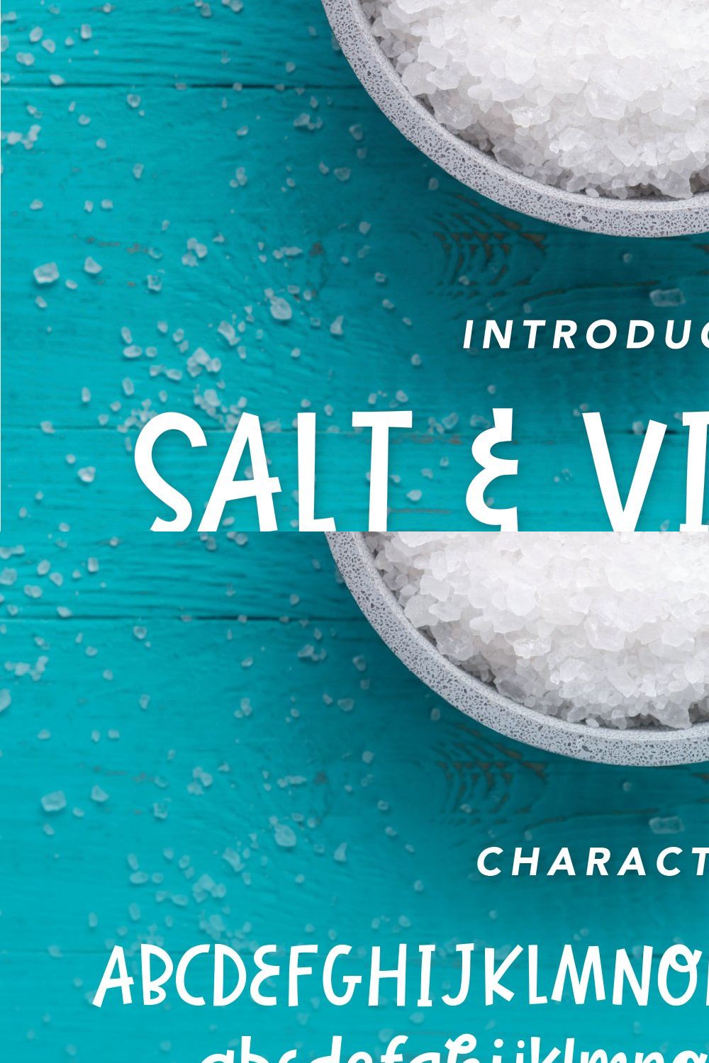Salt & Vinegar | A Spunky Block Font pinterest preview image.
