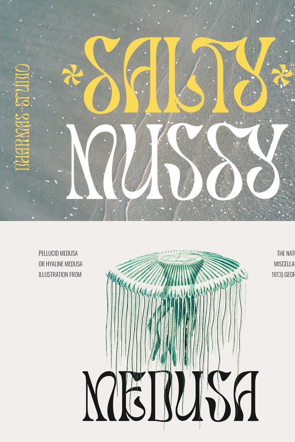 Salty Mussy - Quirky Twisted Display pinterest preview image.