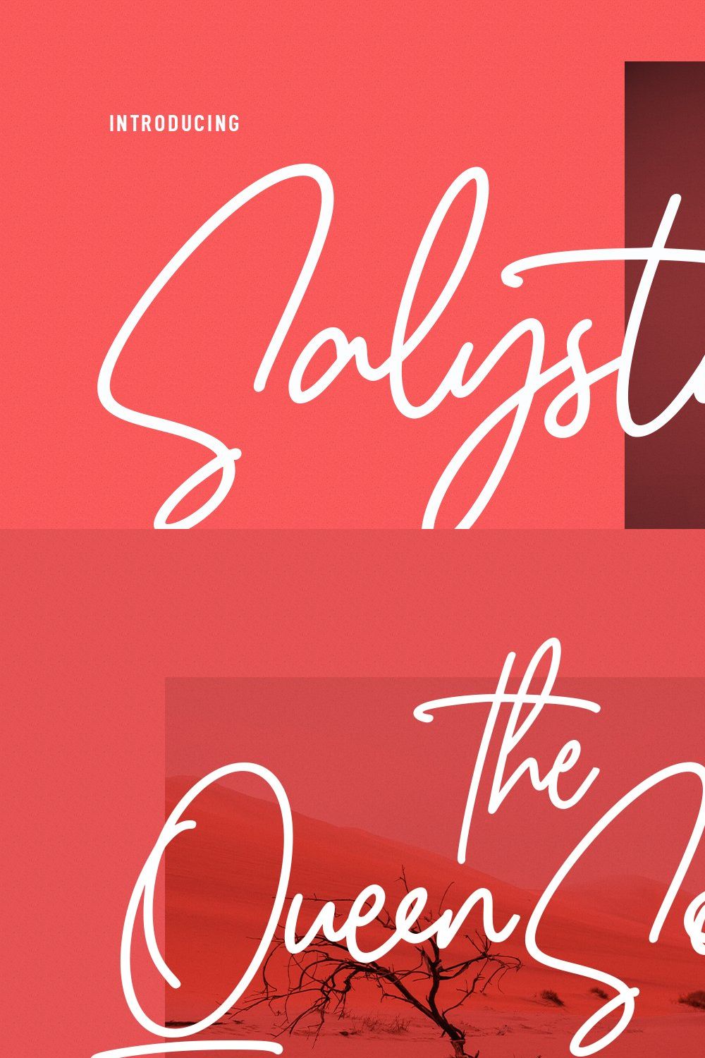 Salystacy Monoline Signature Script pinterest preview image.