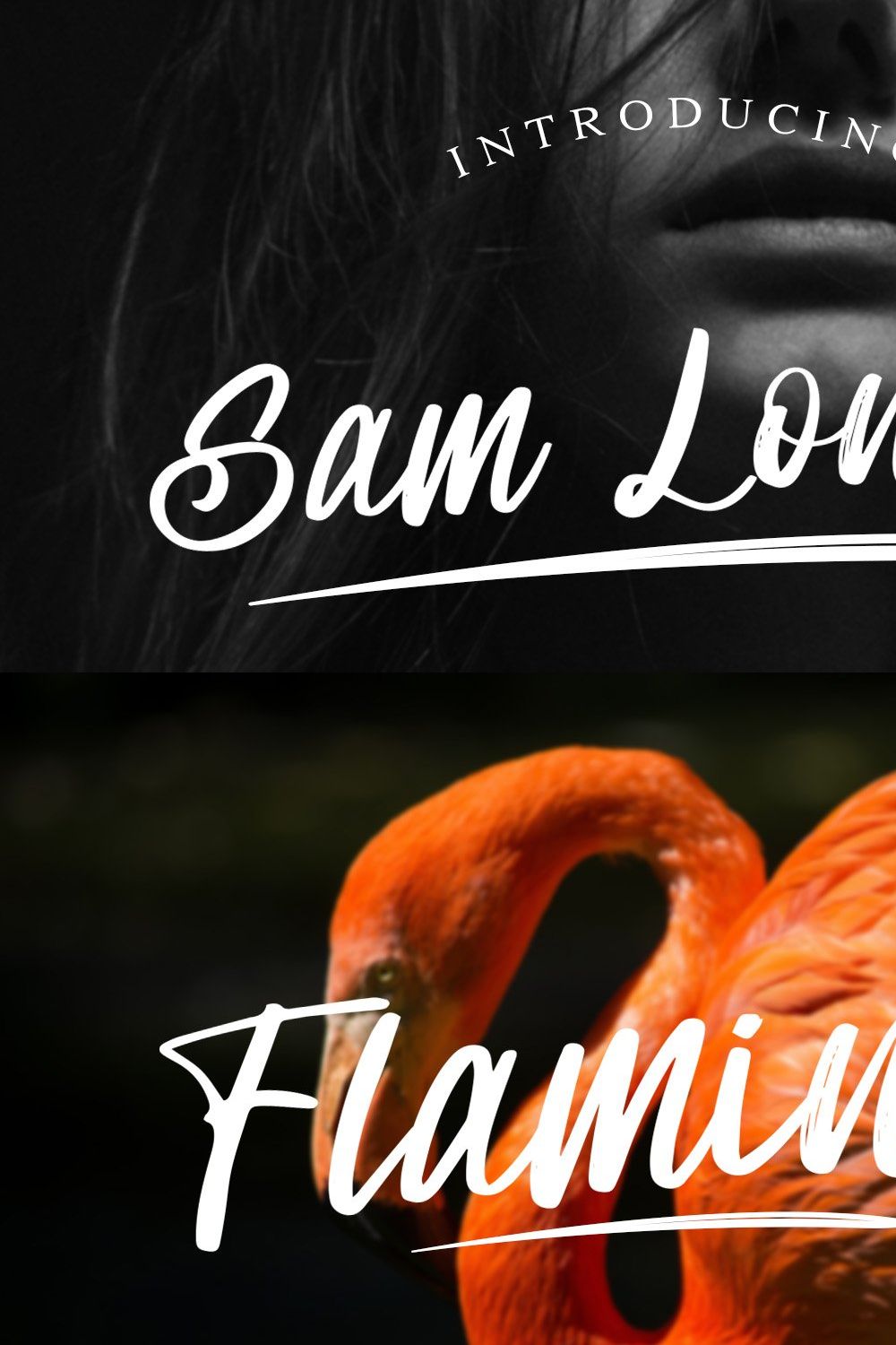 Sam Lonica - Script Font pinterest preview image.