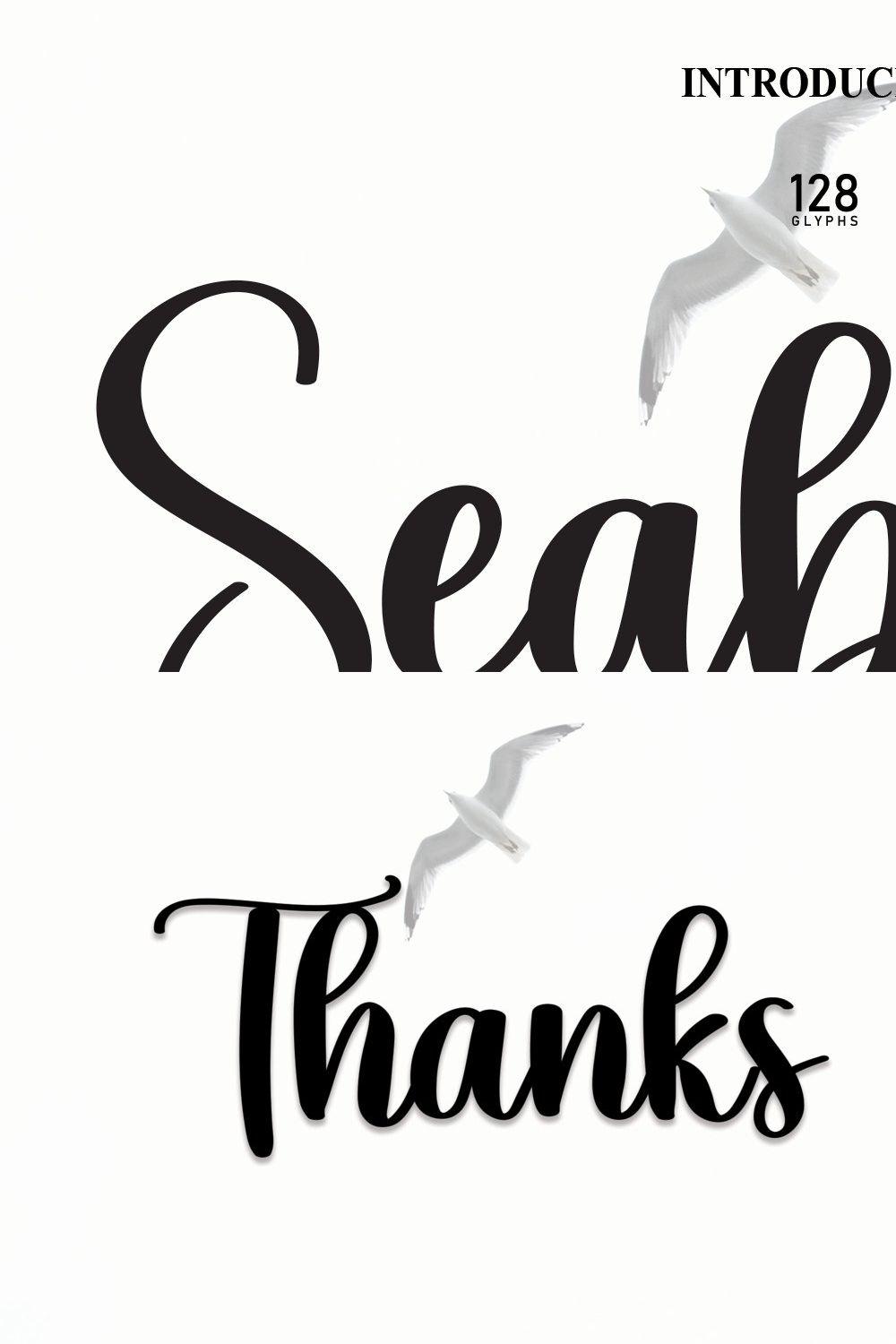 Seabird | Script Font pinterest preview image.