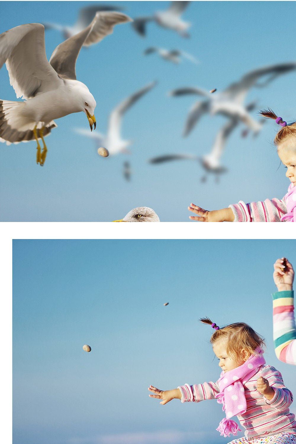 Seagulls Overlays pinterest preview image.
