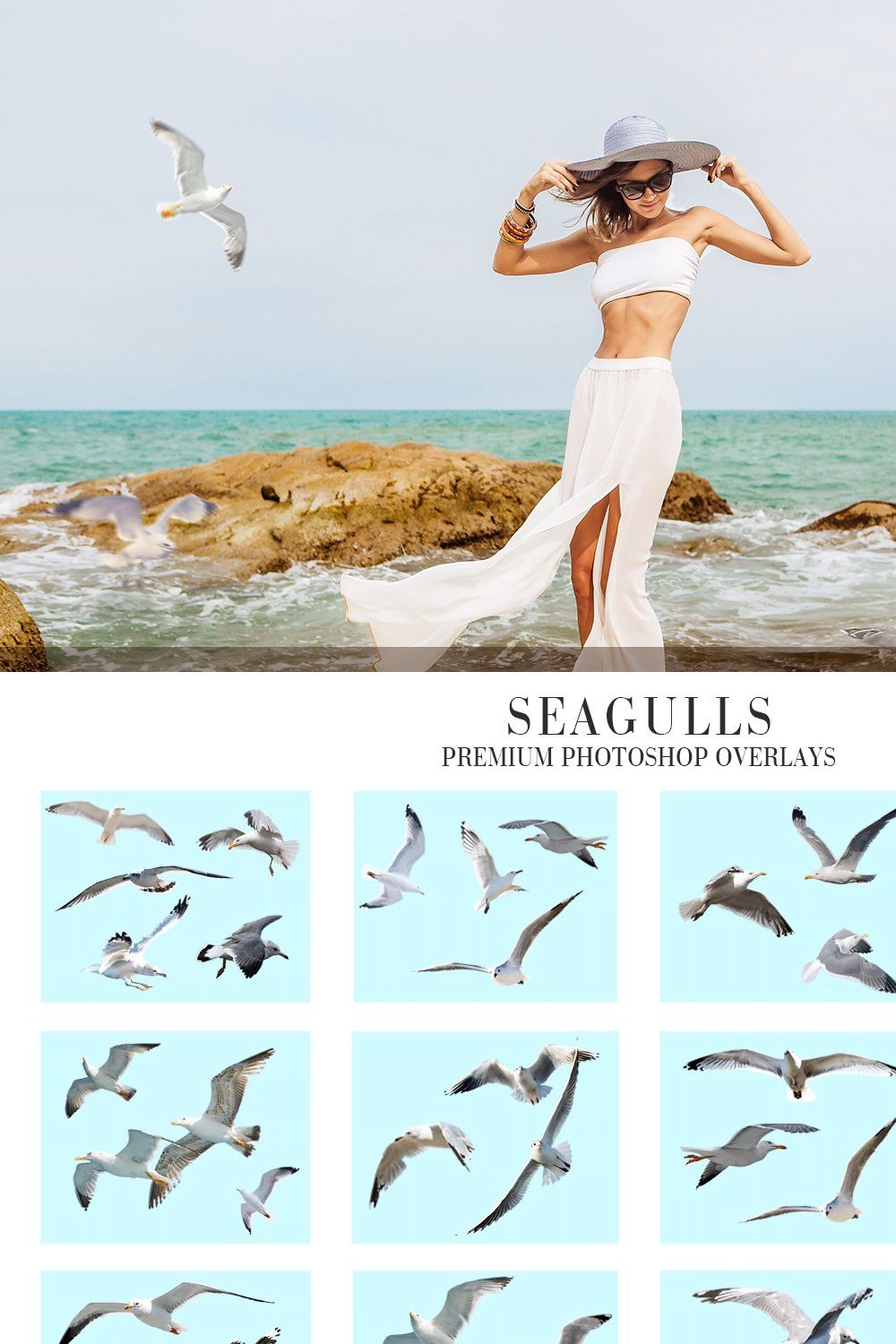 Seagulls Overlays Photoshop pinterest preview image.