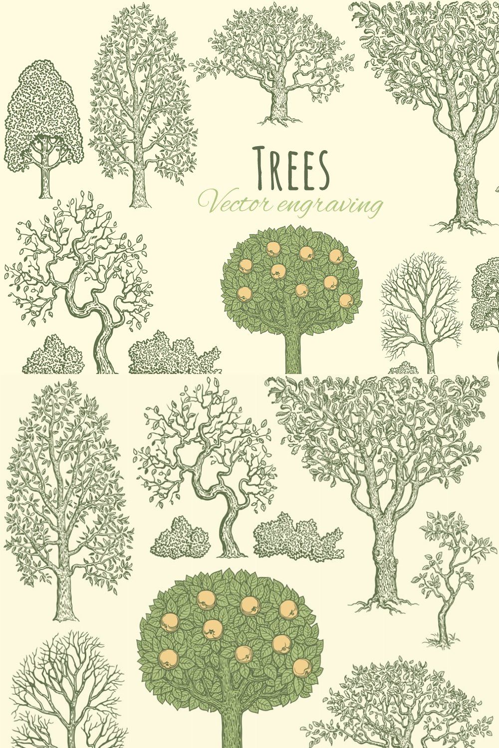 Set Trees. Vector engraving. pinterest preview image.
