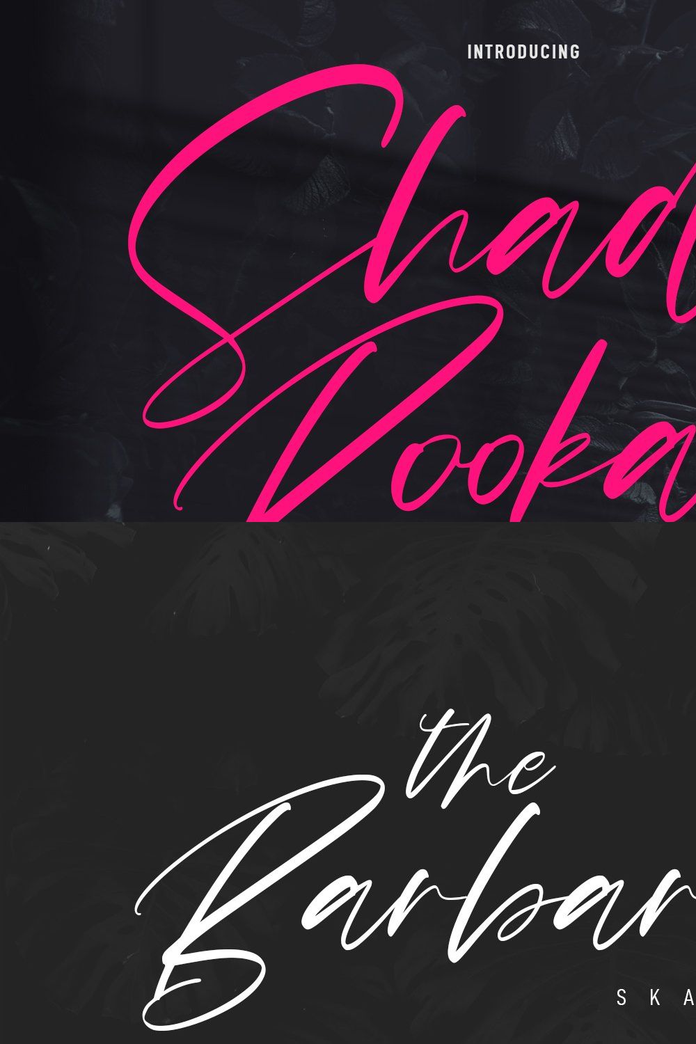 Shades Bookah Script Font pinterest preview image.