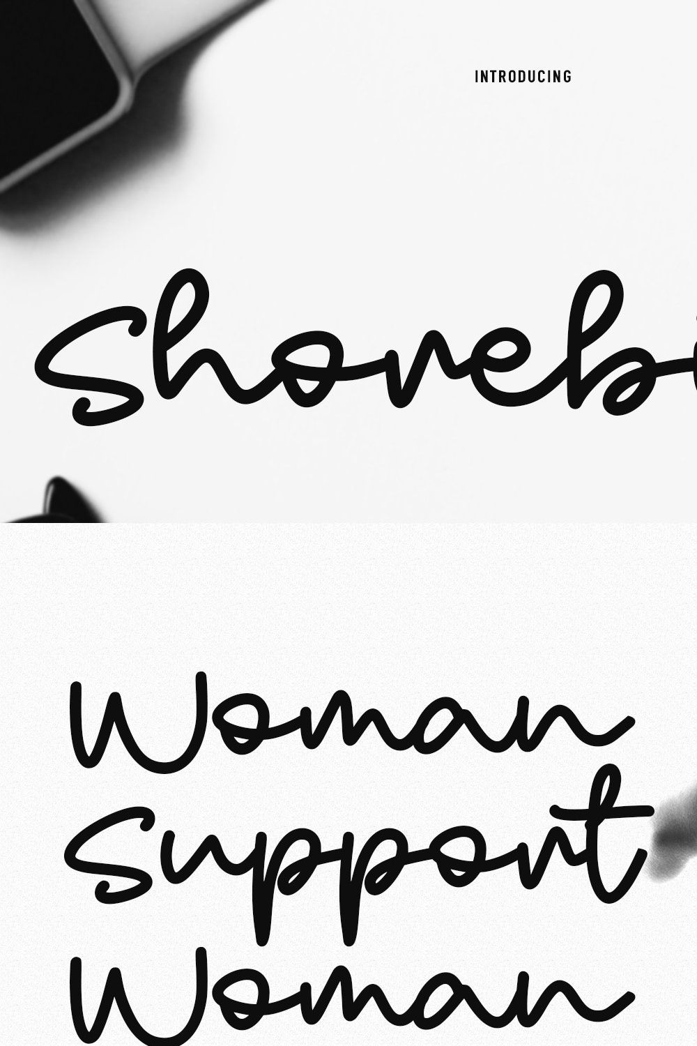 Shorebird Script Font pinterest preview image.