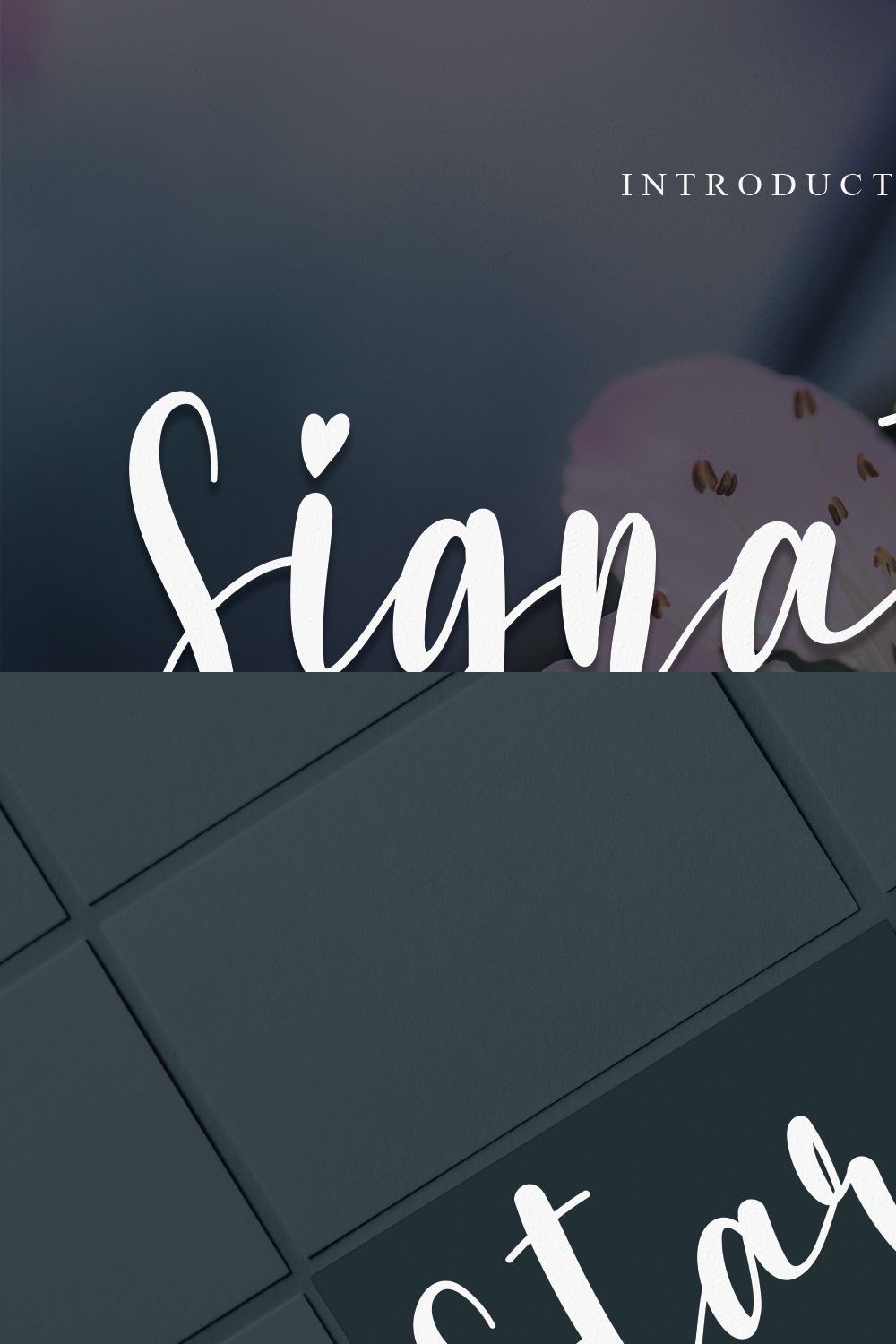 Signature | Script font pinterest preview image.