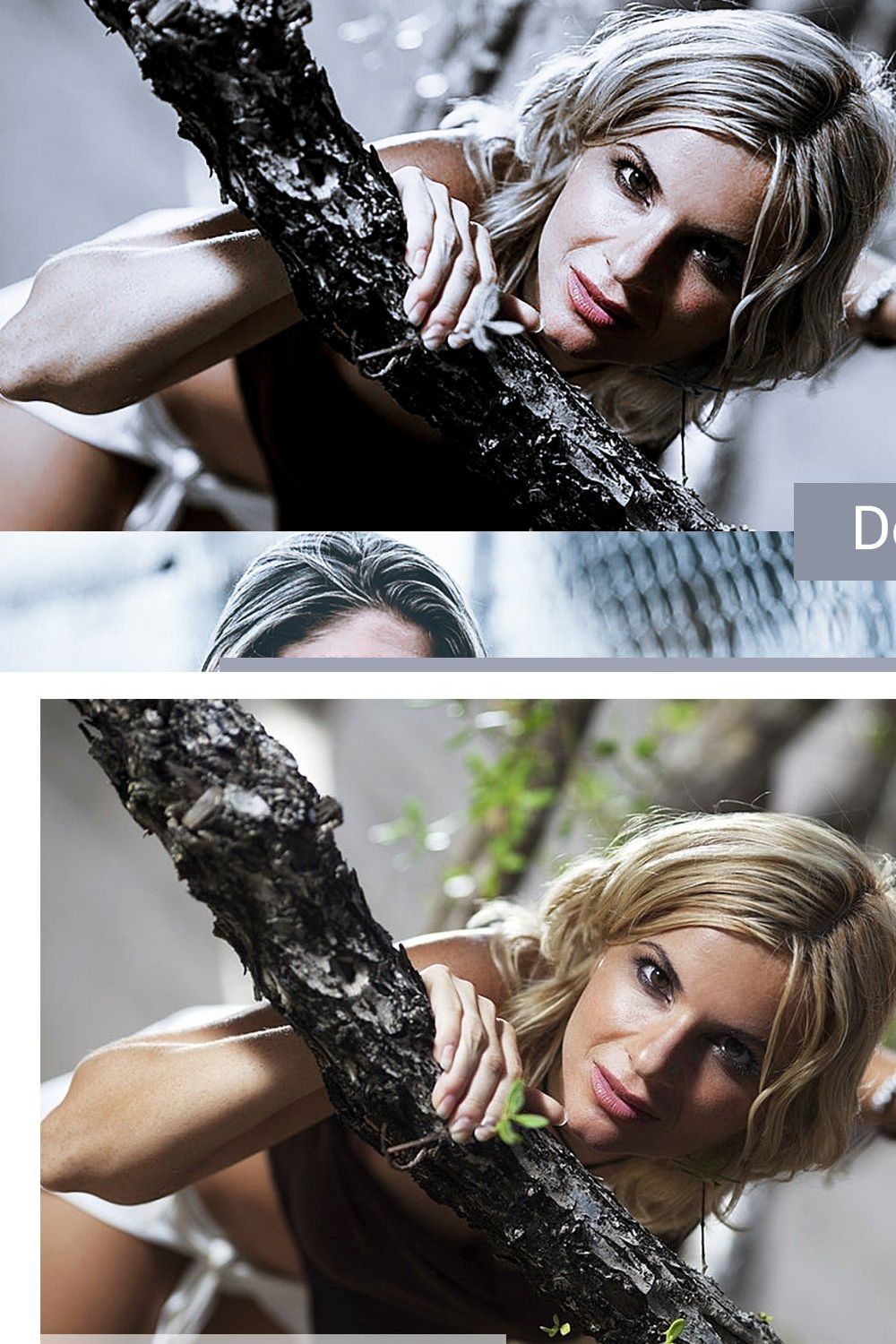 Silver Charm Presets pinterest preview image.