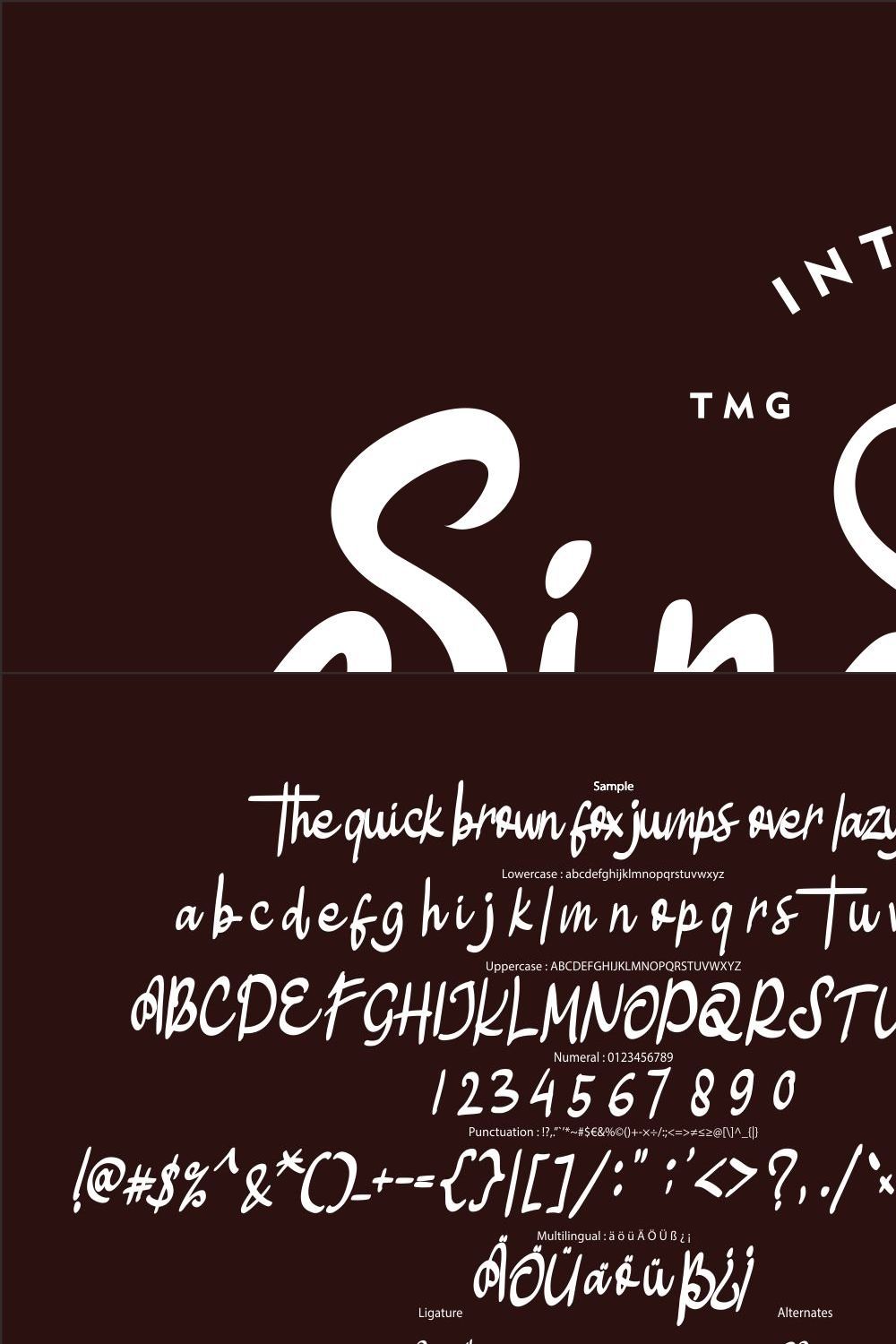 Sindyceta Modern Script pinterest preview image.