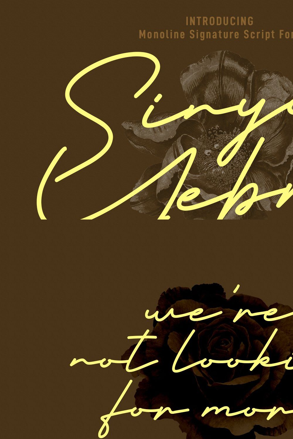 Sinyor Yebri Signature Script Font pinterest preview image.