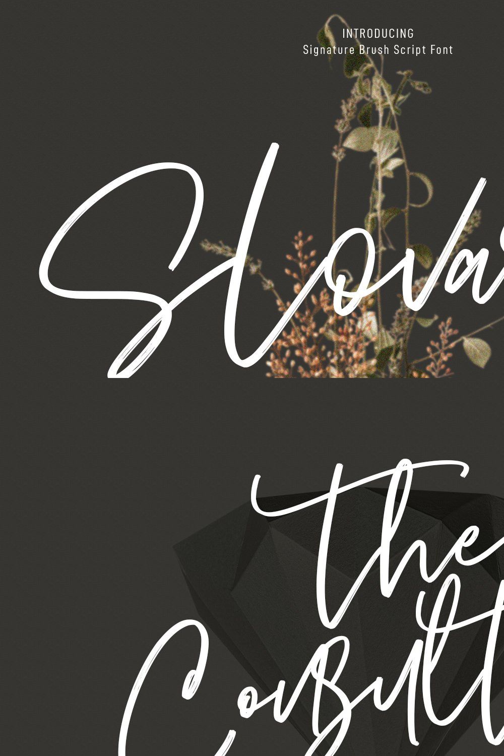 Slovary Script Font pinterest preview image.