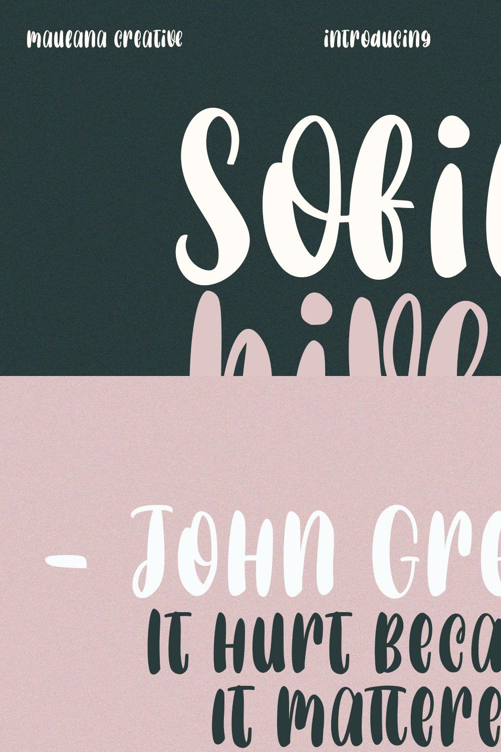 Sofia Hives Handwritten Script Font pinterest preview image.